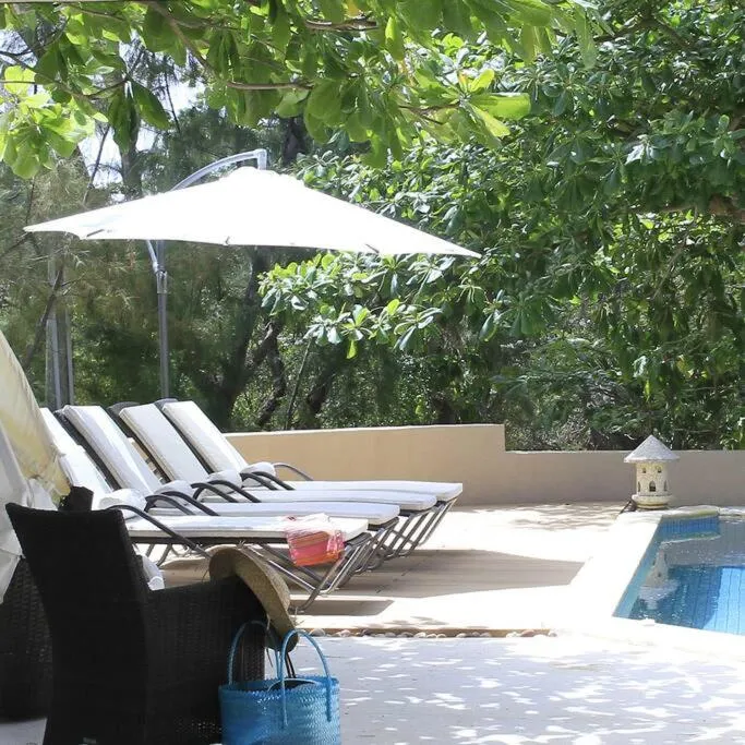 Swimming pool in Villa Fayette Sur Mer
