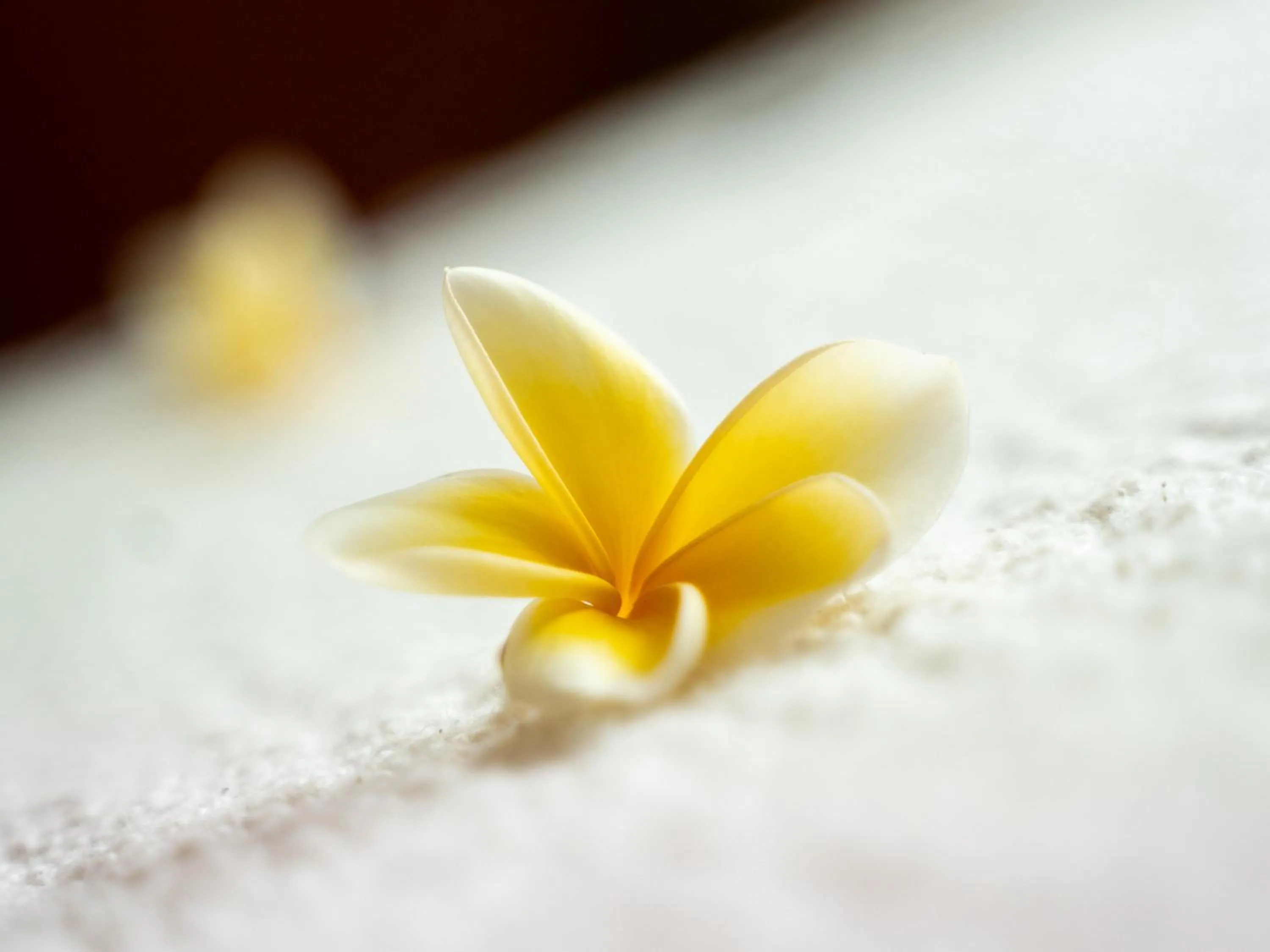 towels in Lasai Villas