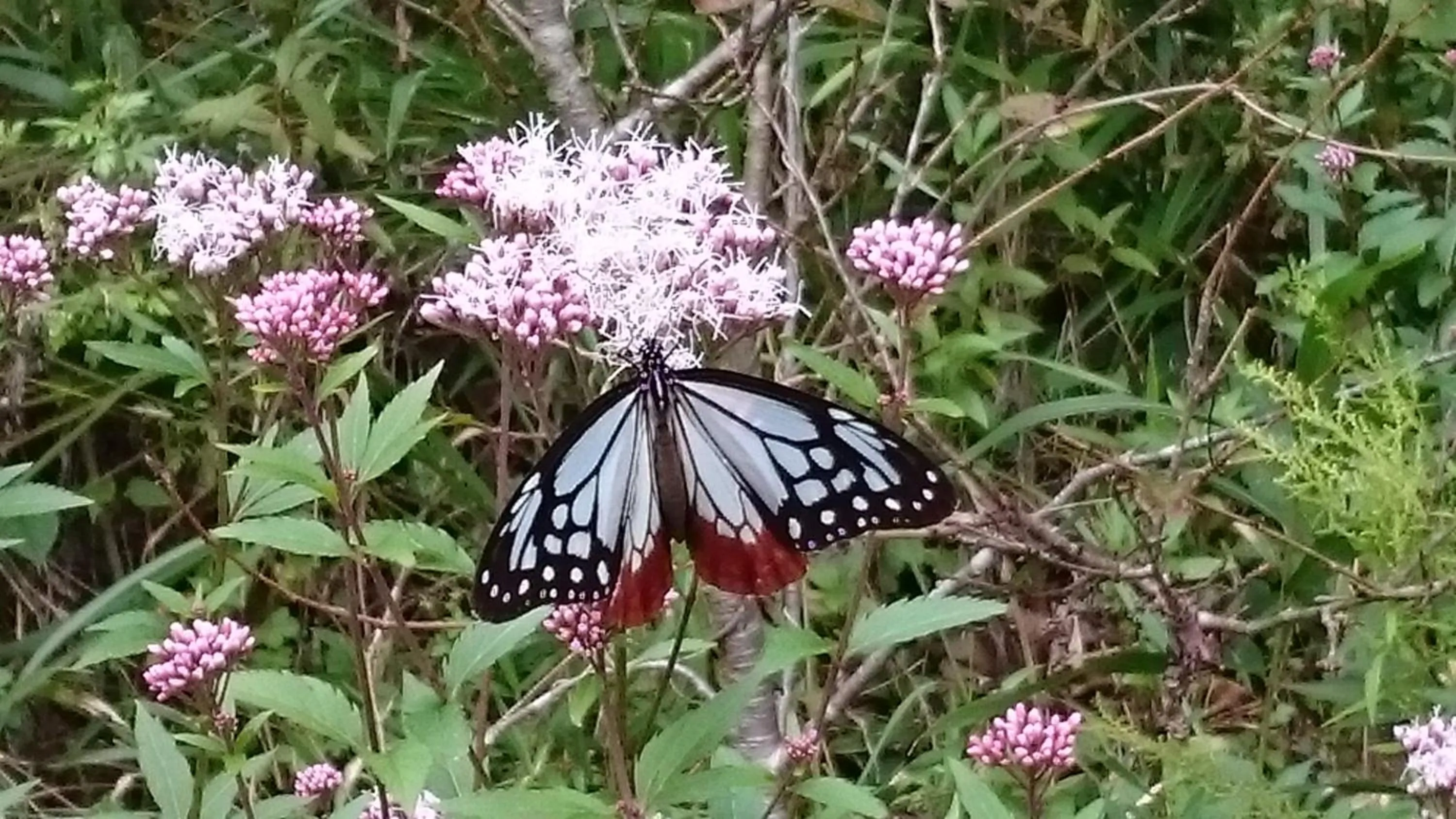 Nearby landmark in Ariston Inn Kanda Kitakyusyu Airport