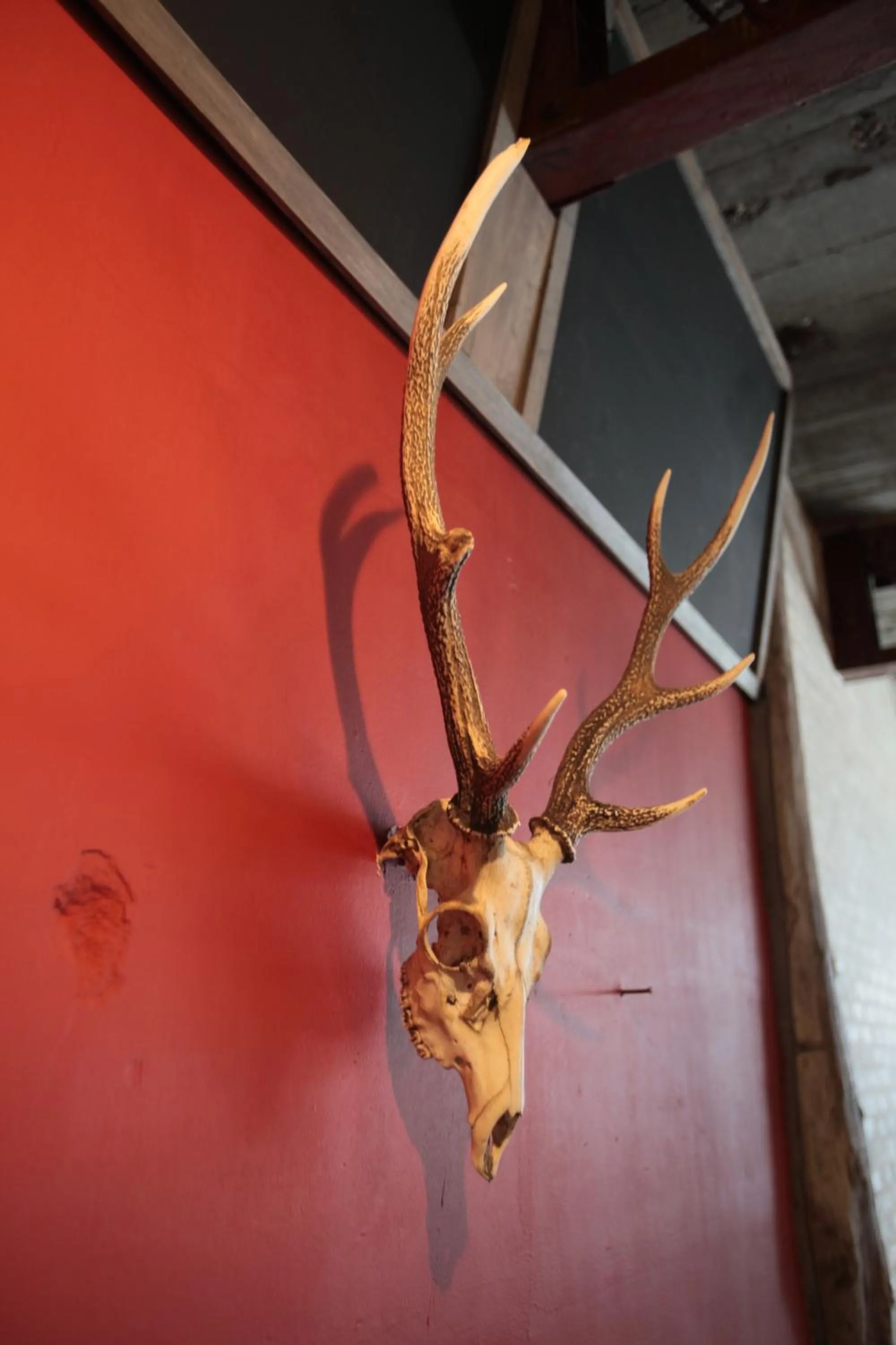 Lounge or bar in Kamp Houkan-cho Backpacker's Inn & Lounge