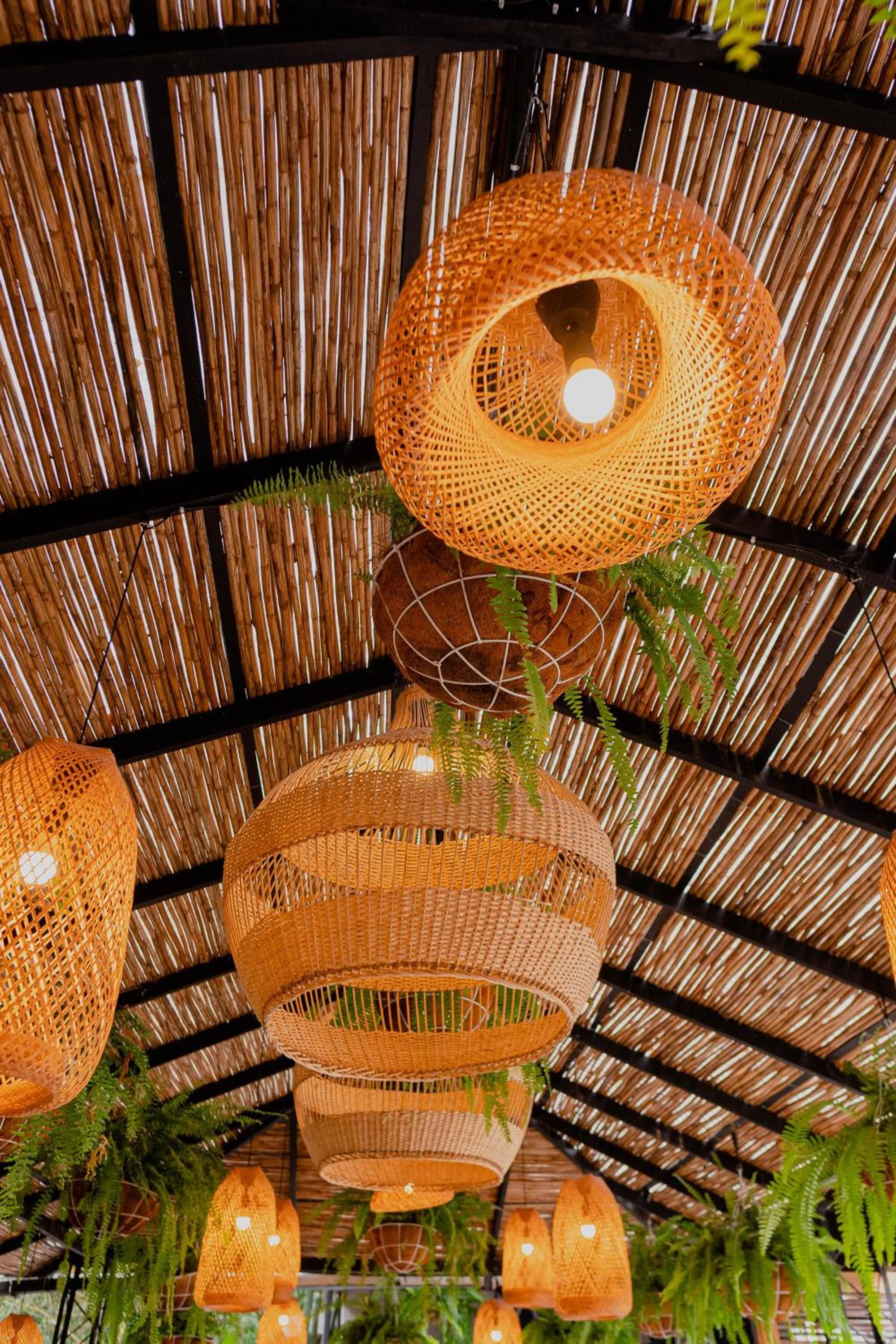 Restaurant/places to eat in Hotel Casa de Hadas