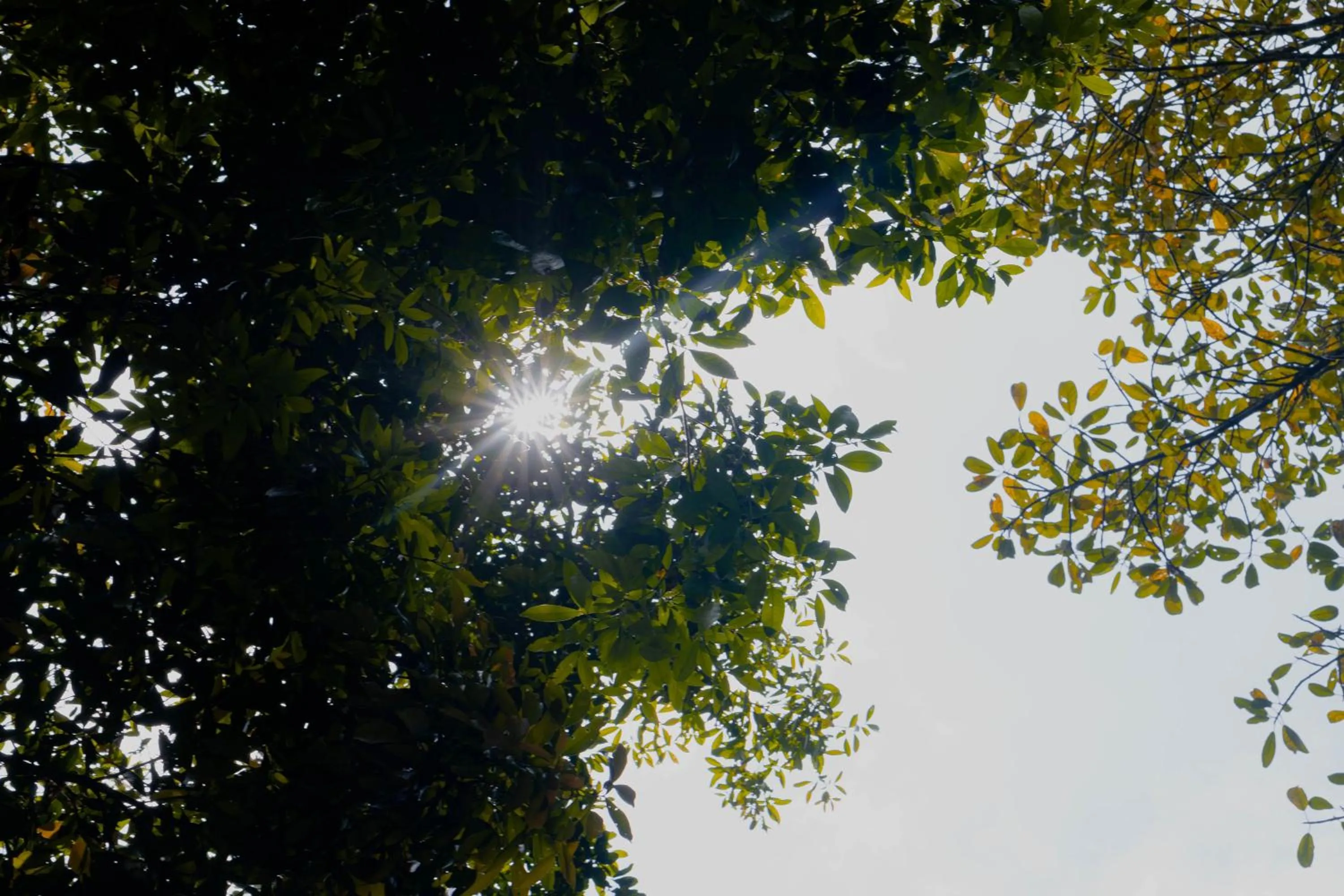 Day in Hotel Casa de Hadas