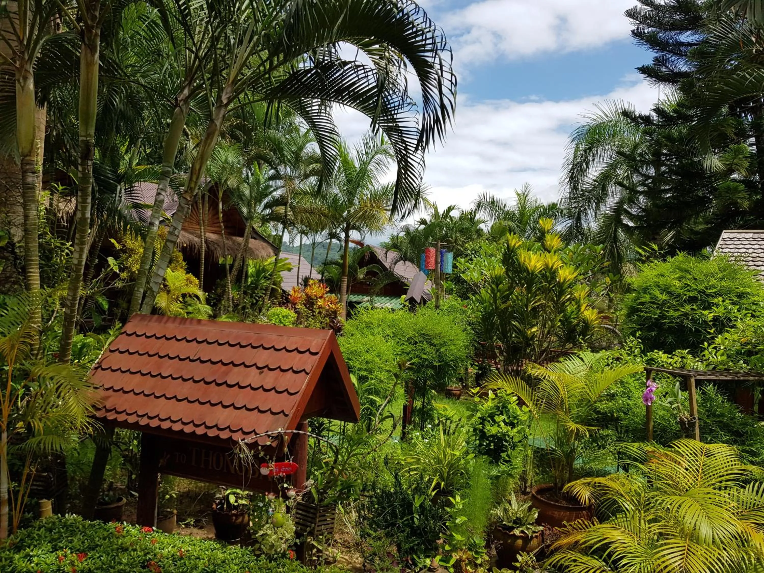 Garden in Thongbay Guesthouse