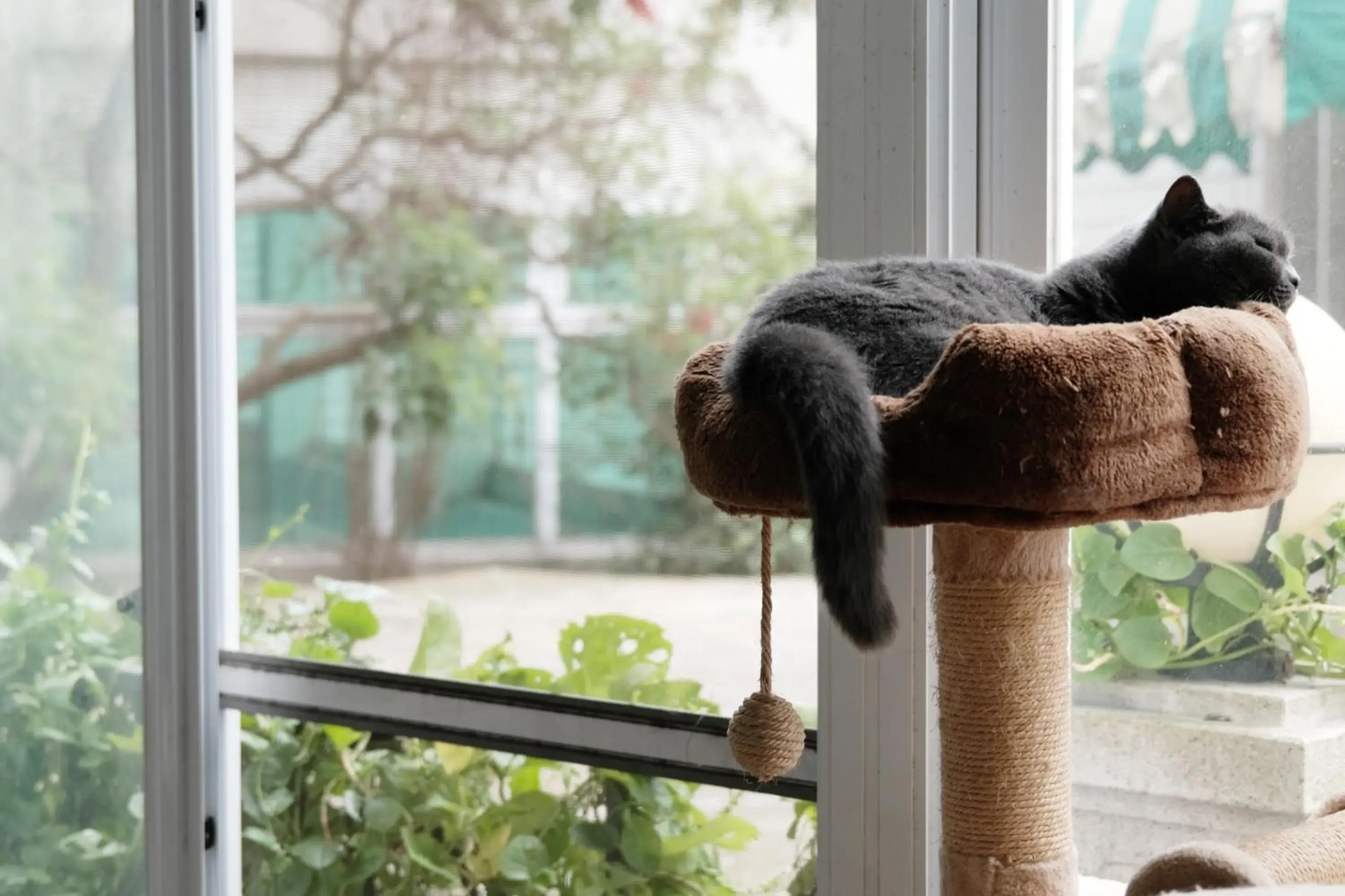 Restaurant/places to eat in LIDO FORESTRY SPA RESORT Restaurant/places to eat in LIDO FORESTRY SPA RESORT