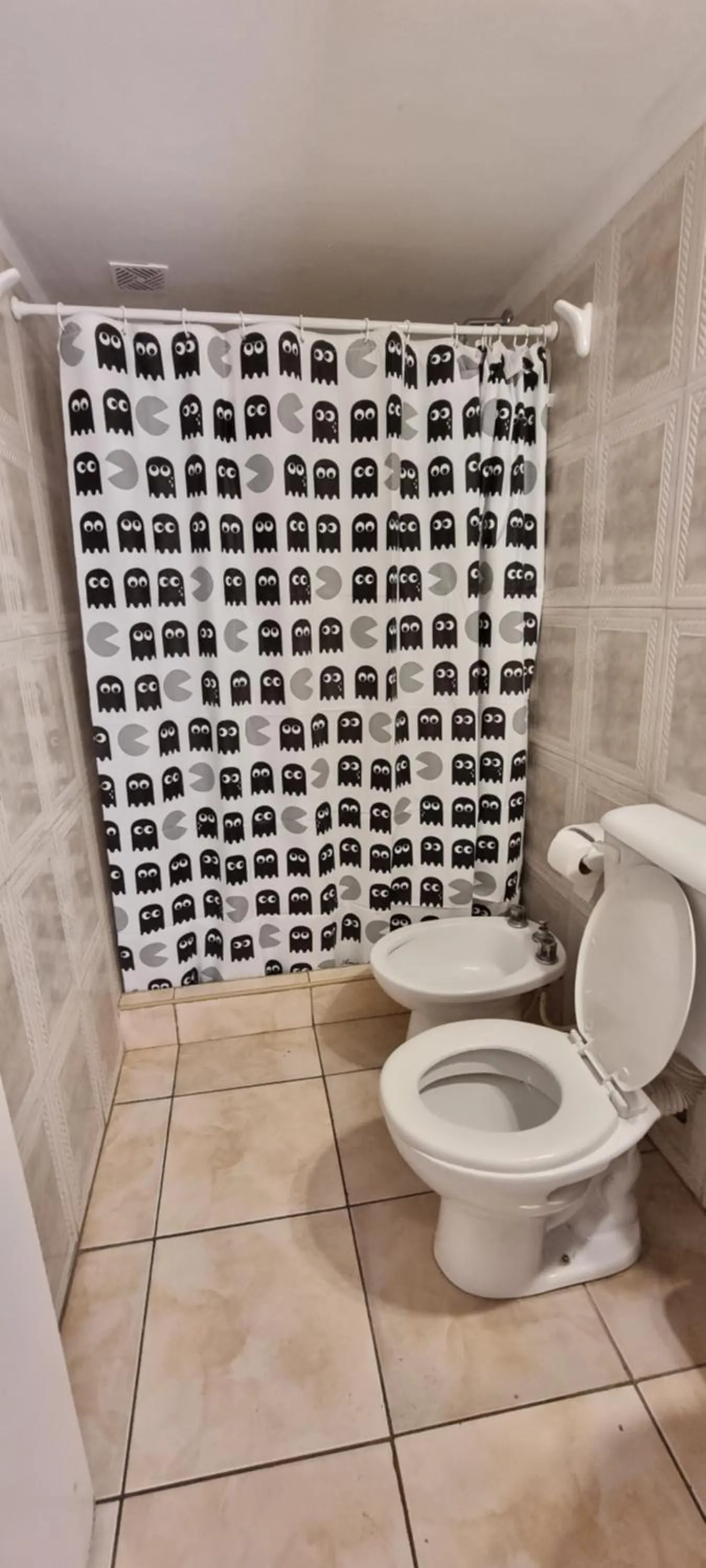Toilet in Apex Apart
