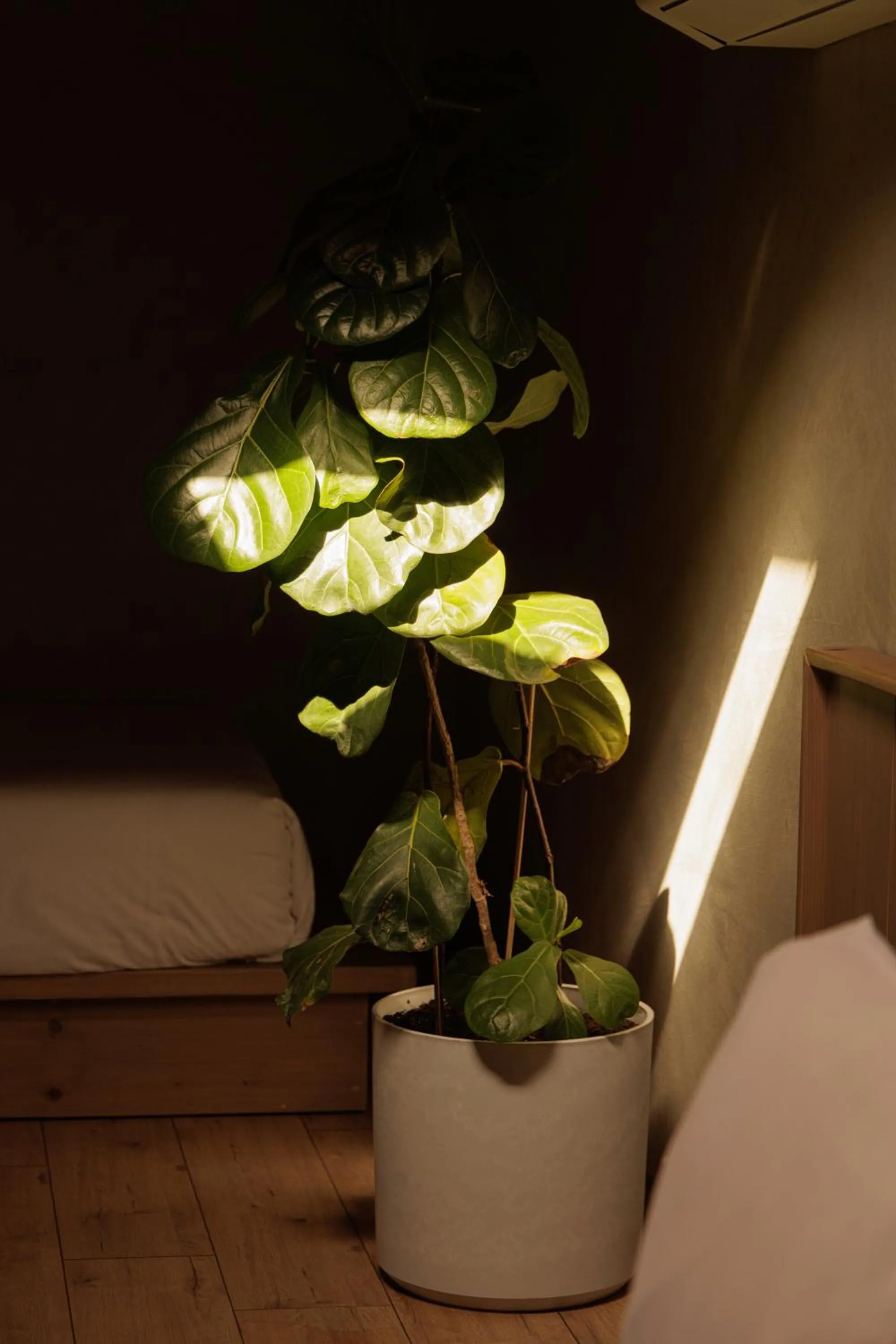 Faces & Places Boutique Hotel