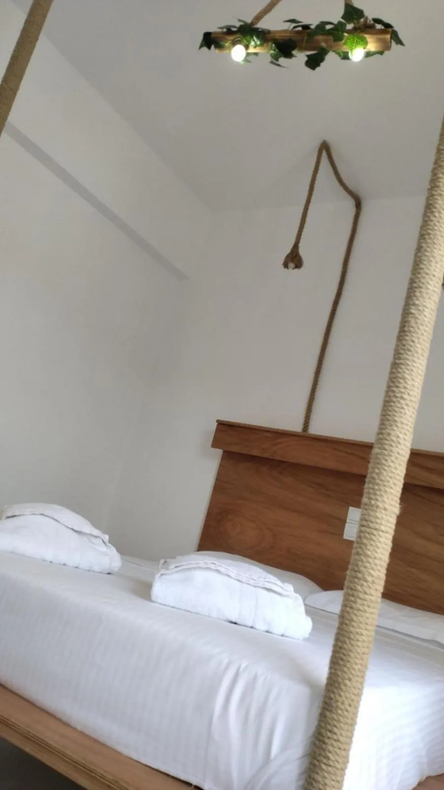 Golden Star Praxitelous