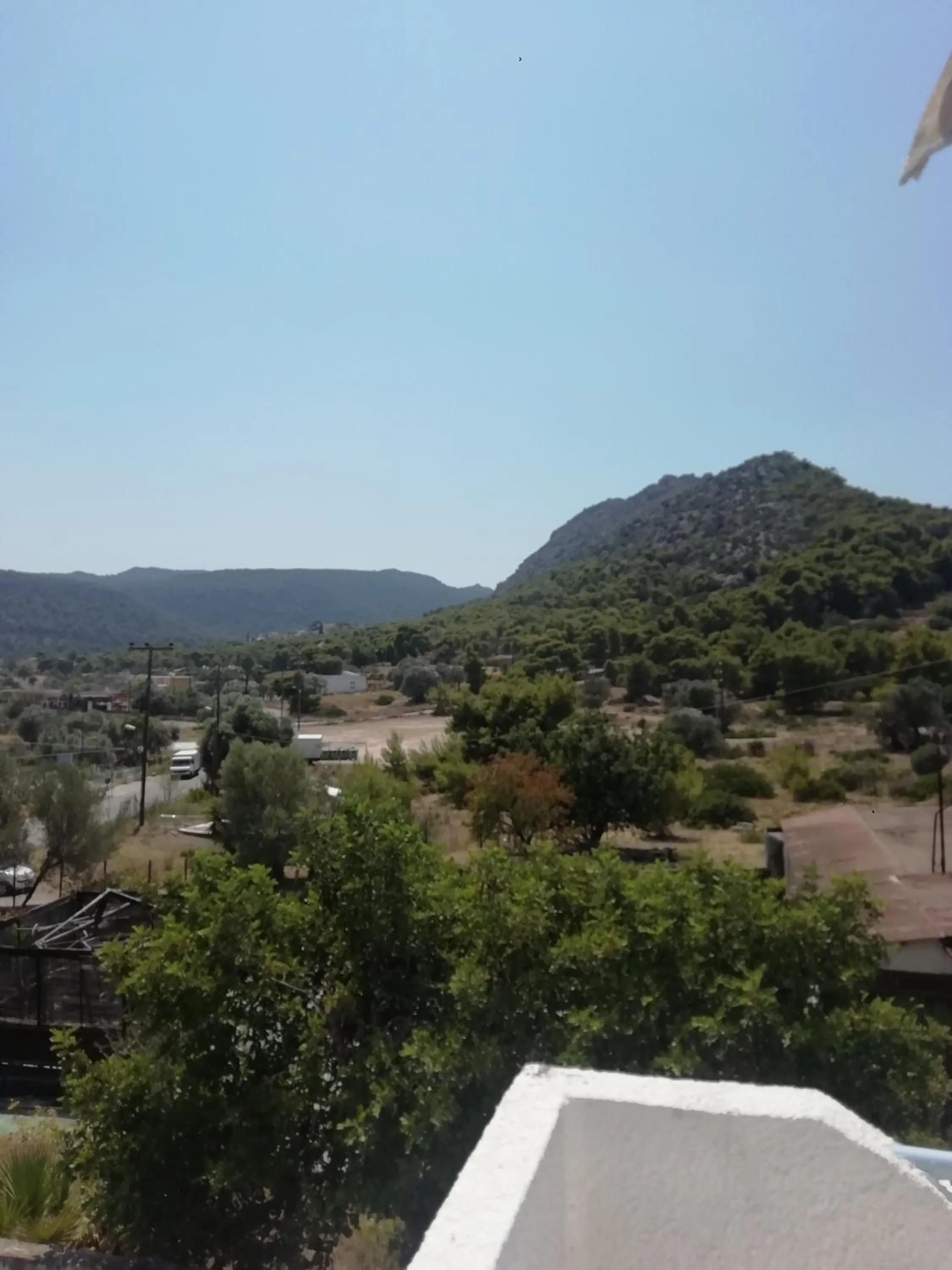 Golden Star Praxitelous