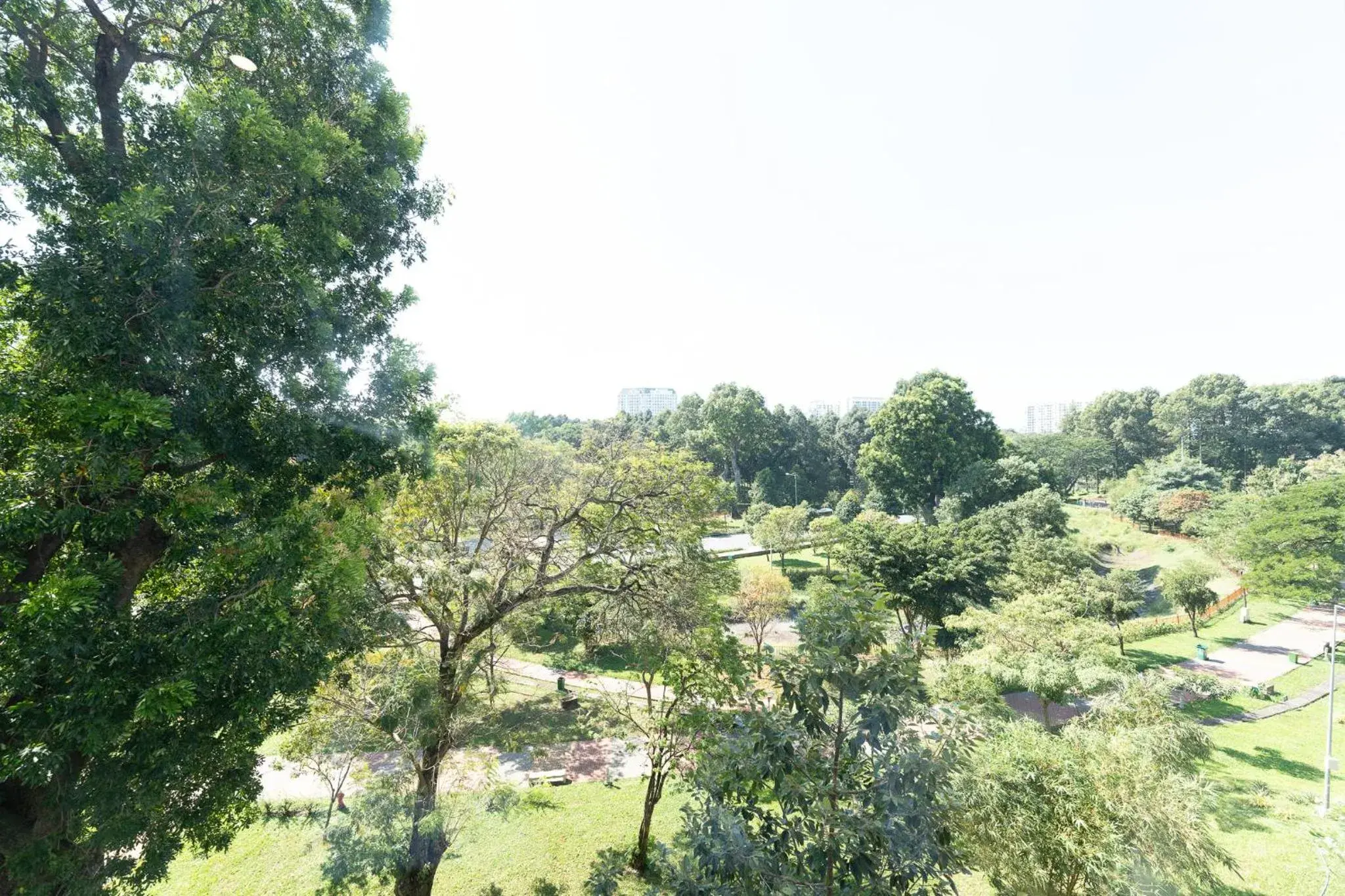 Garden view in Thanh Long Hotel - Apartment Garden view in Thanh Long Hotel - Apartment