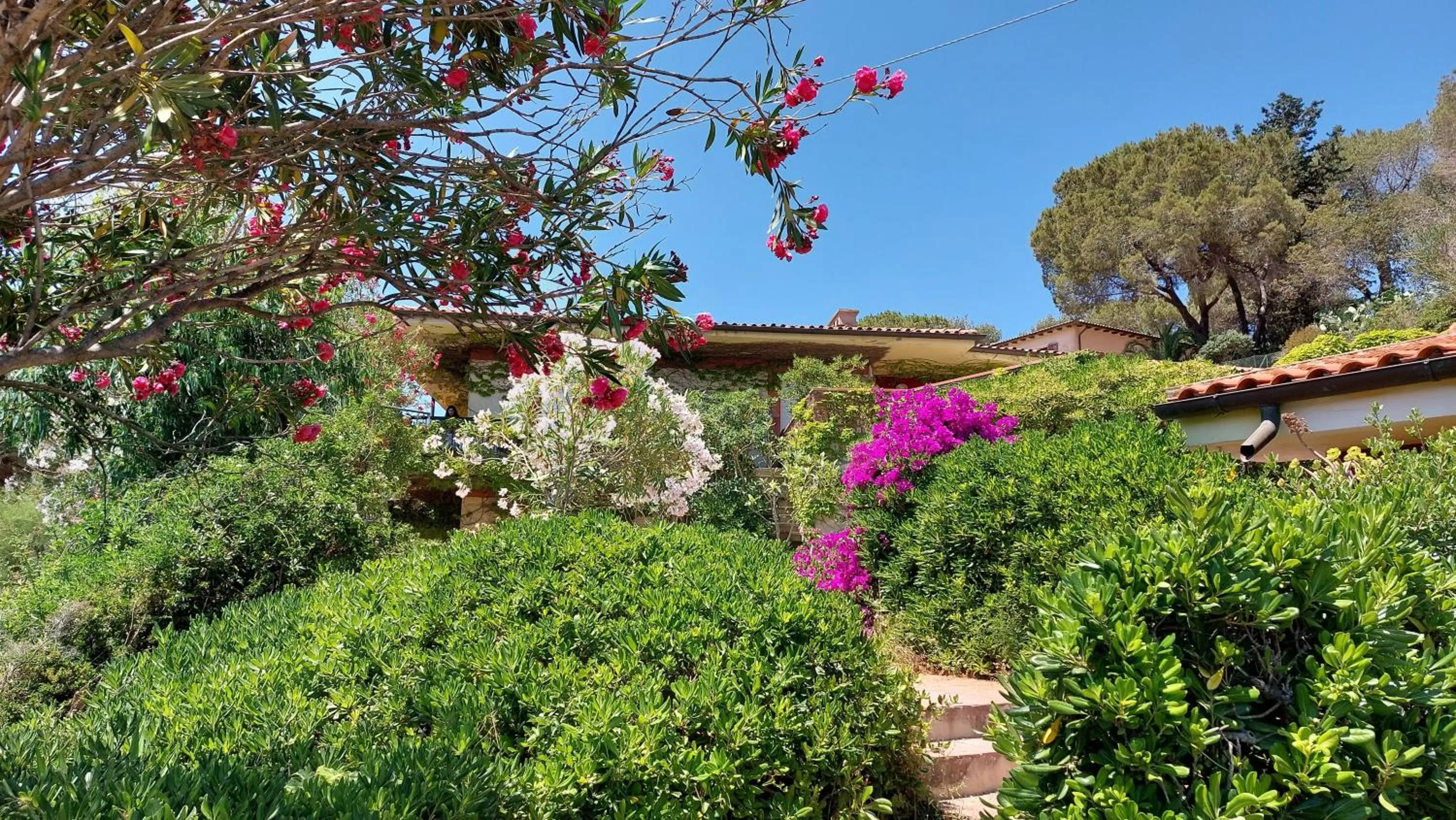 Garden in Residence Capobianco