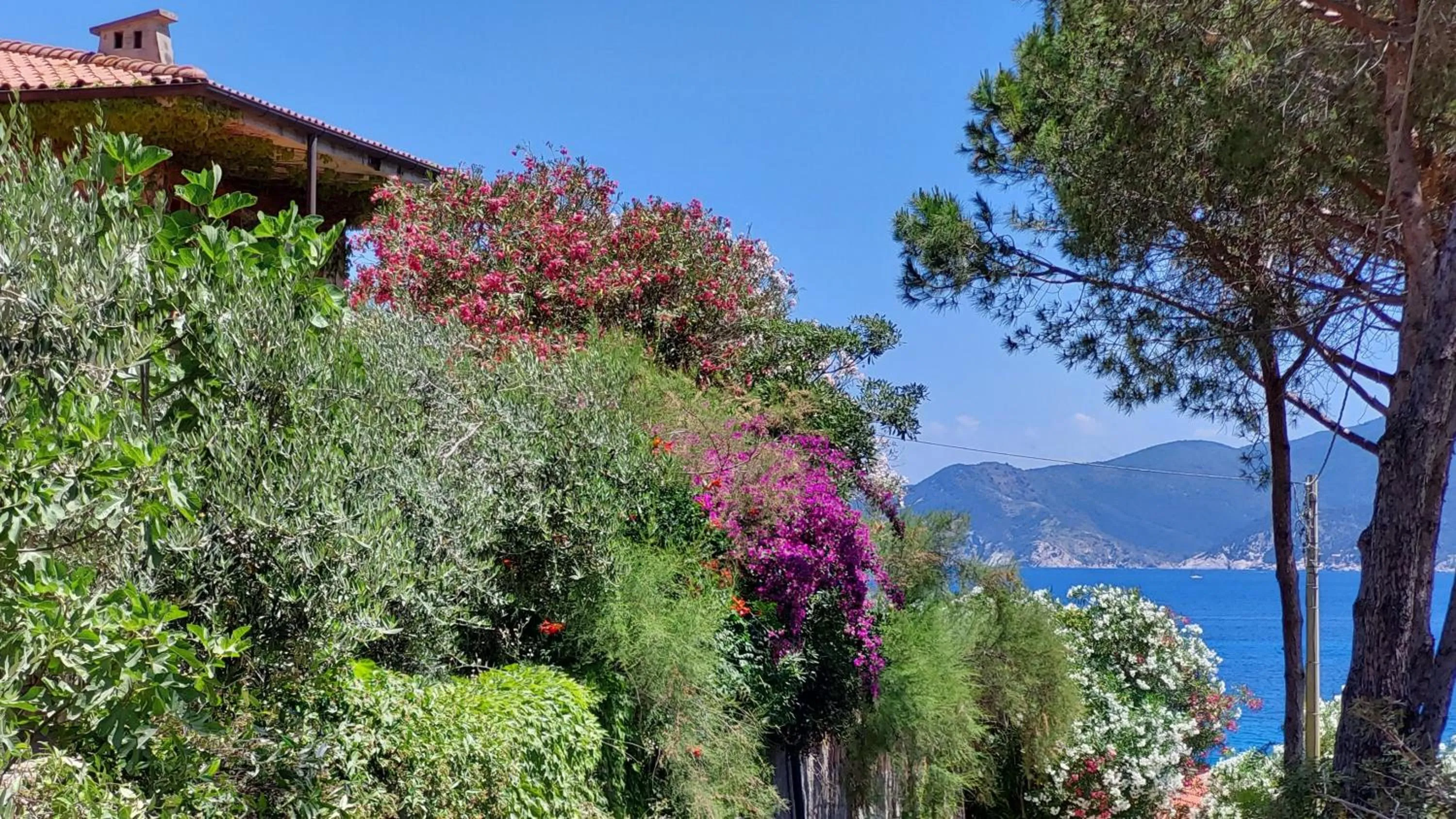 Garden in Residence Capobianco