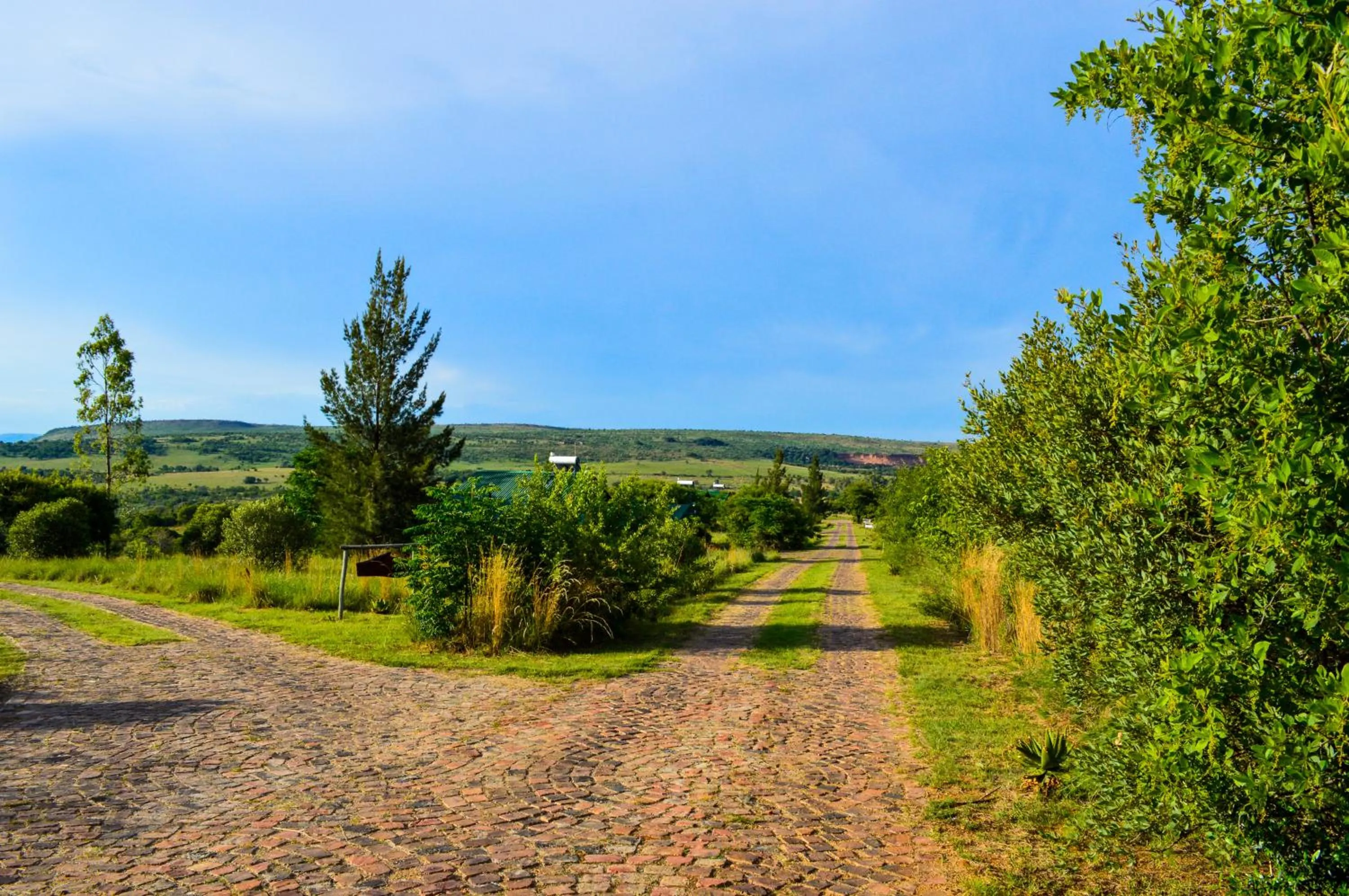 Stone Hill