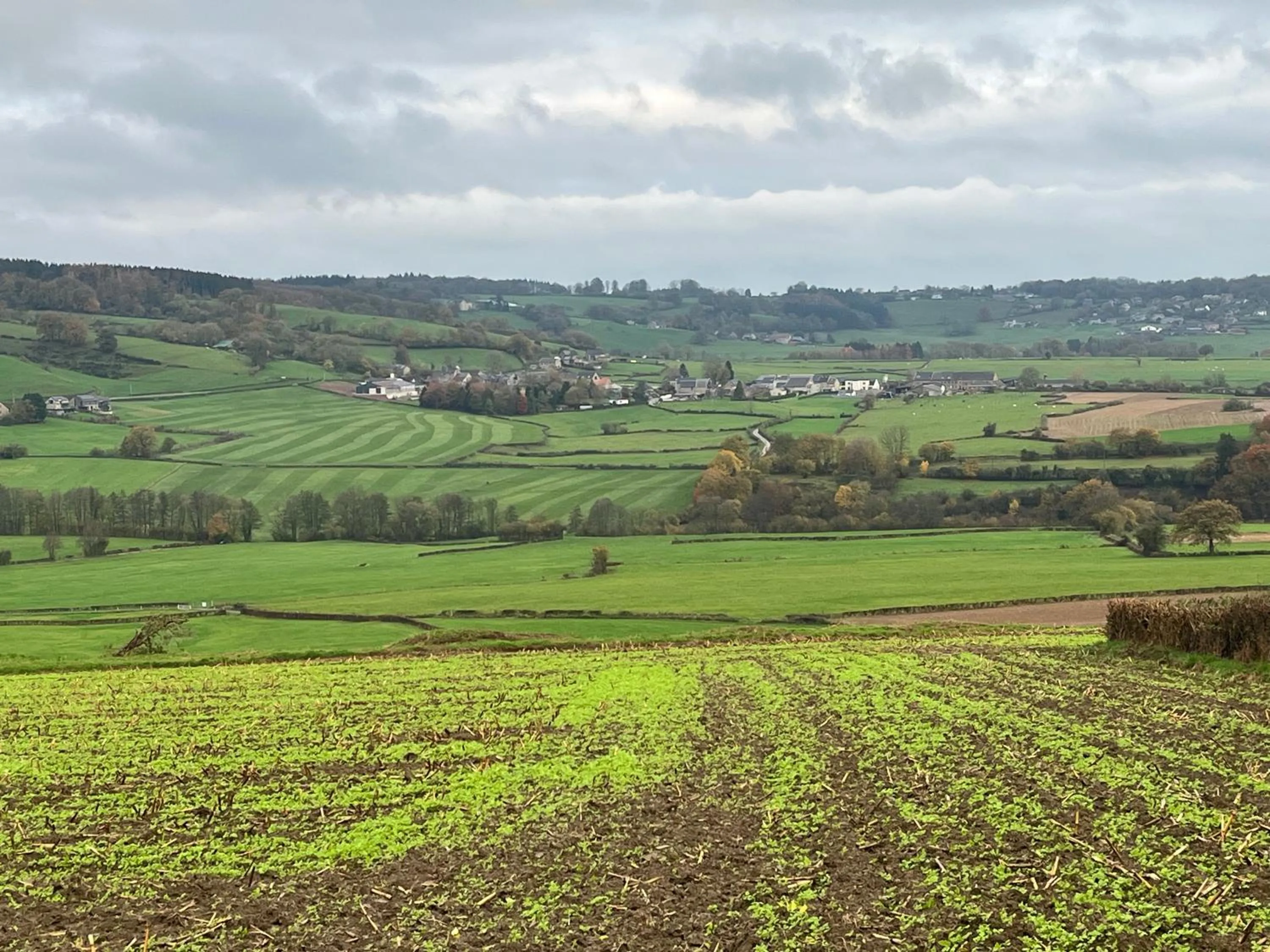 B&B Au coin des sources