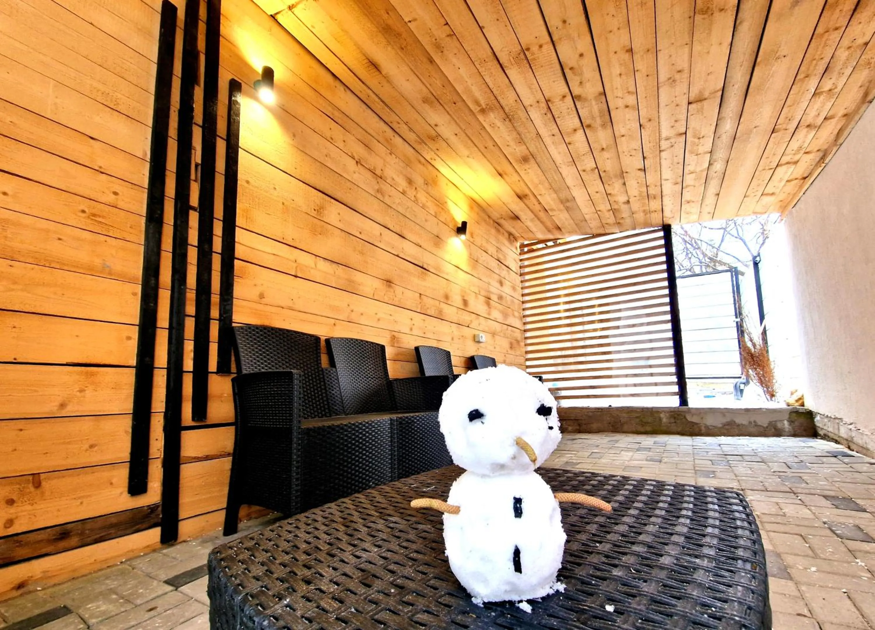 Gaia Villa Predeal