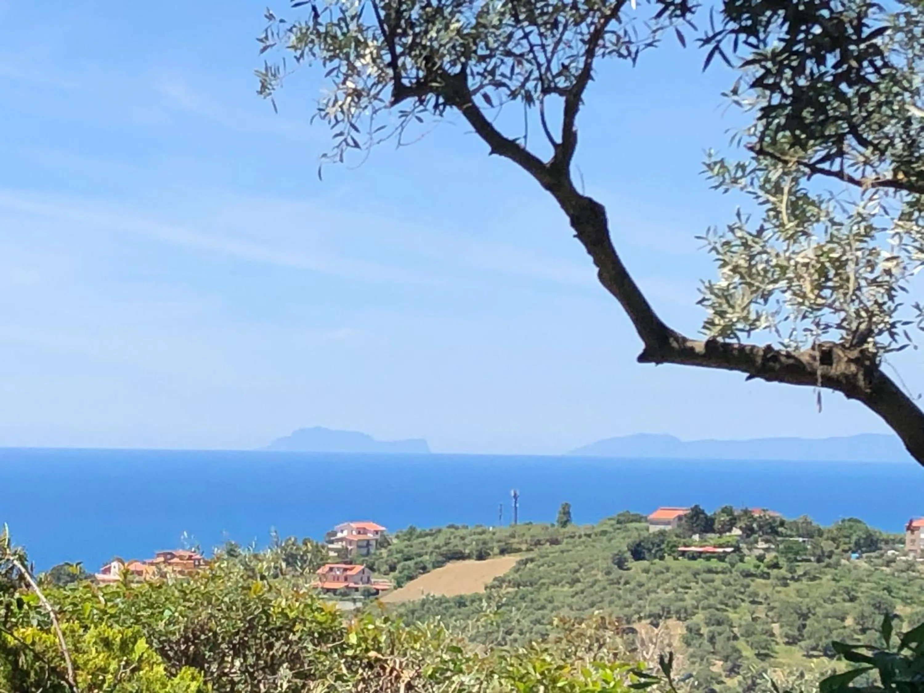 View (from property/room) in Dolce Basilico
