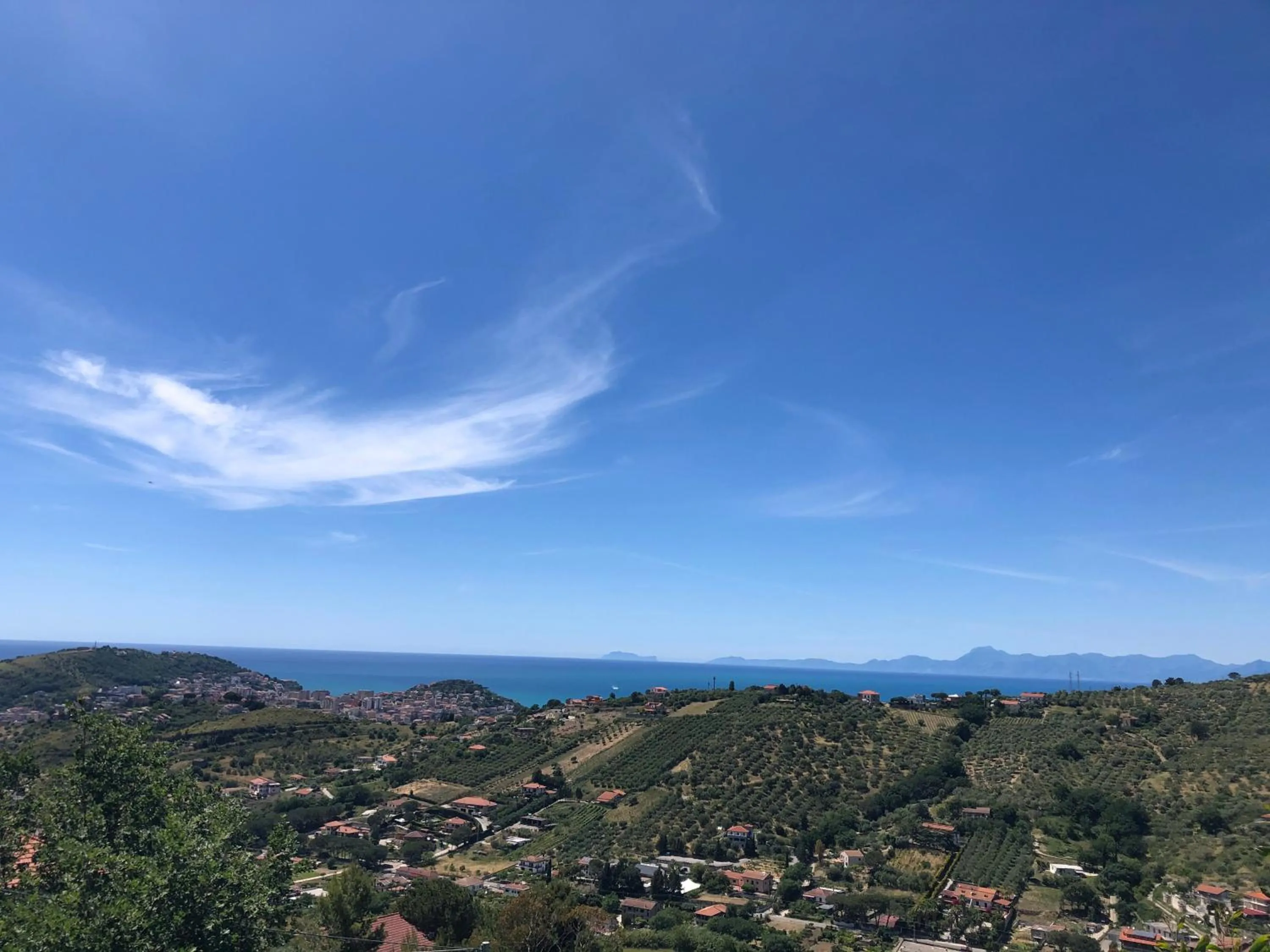 Bird's eye view in Dolce Basilico