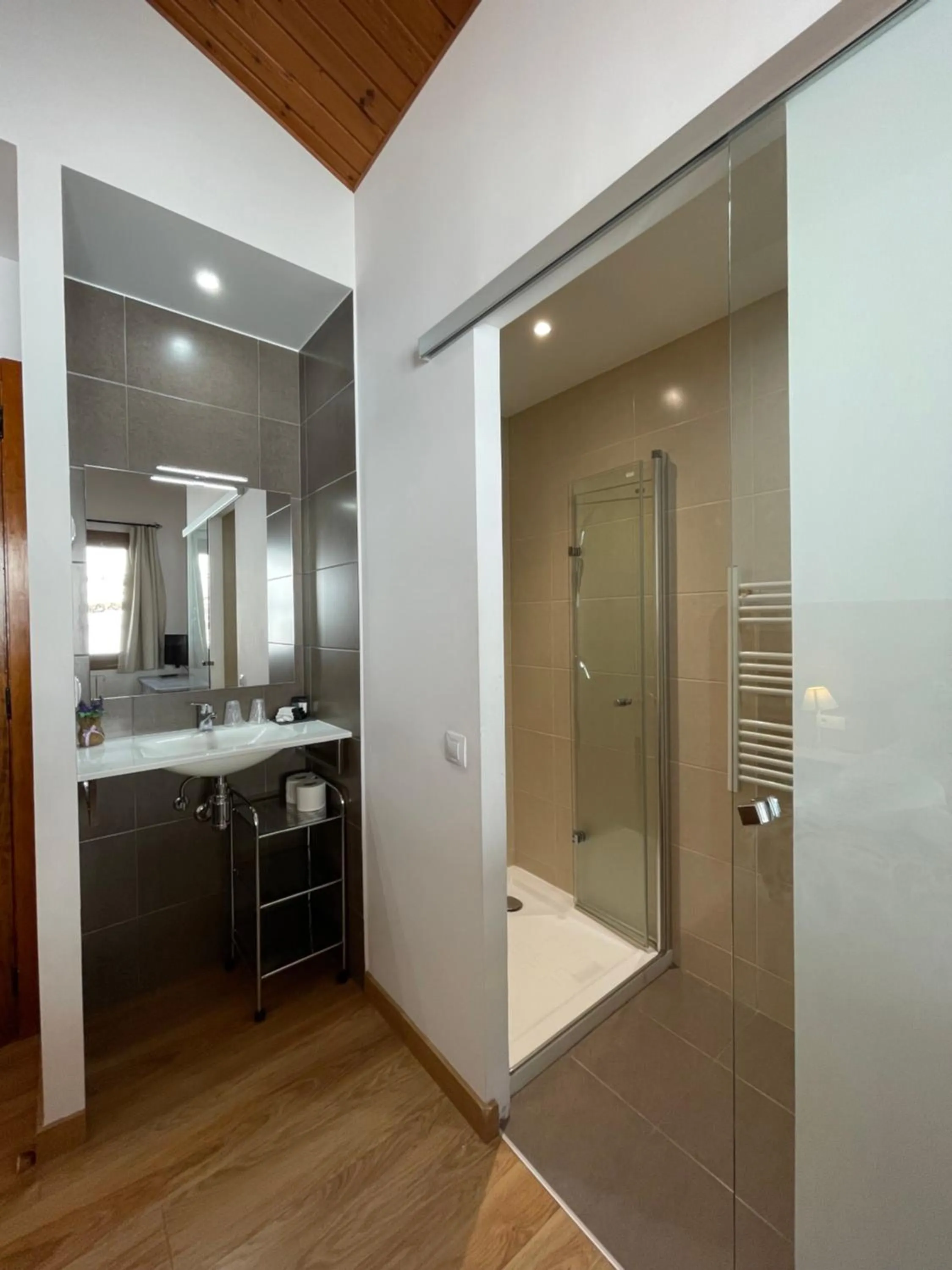 Shower in Aparthotel Sant Andreu