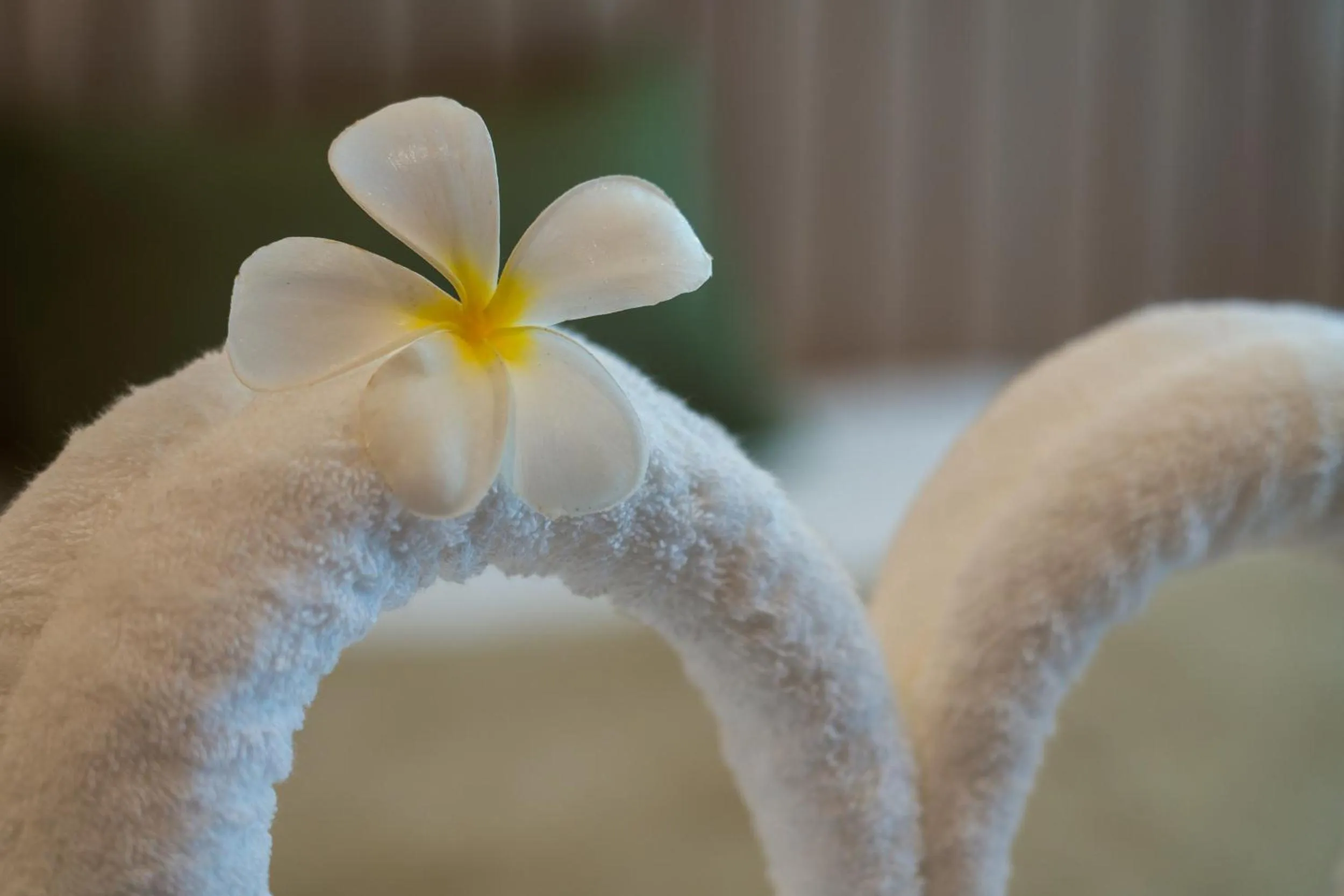 towels in Niranapa Boutique Resort