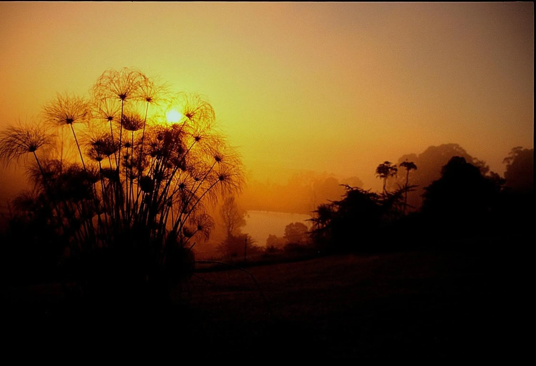View (from property/room) in Gateside Guesthouse