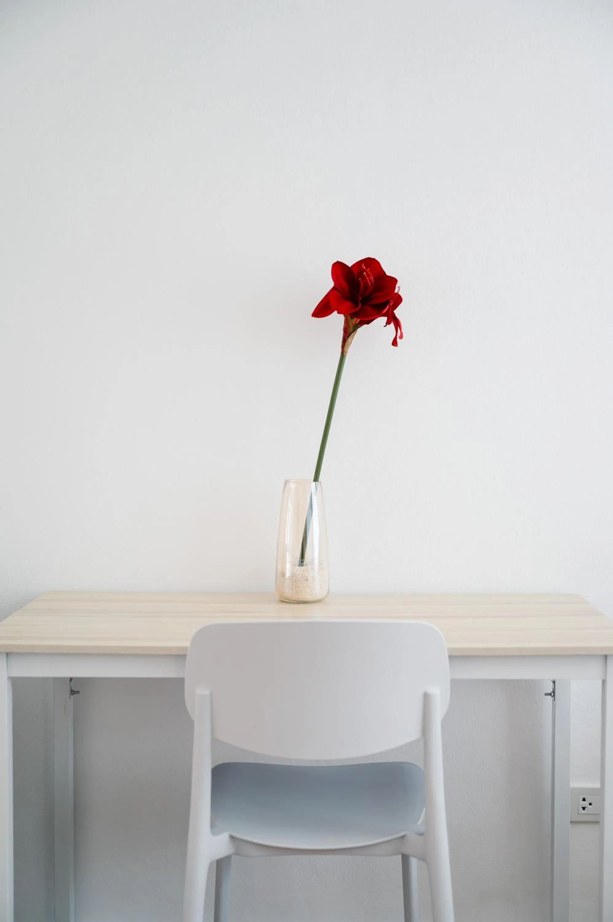 Decorative detail in Mitt Haus (Lat Phrao Soi 5)