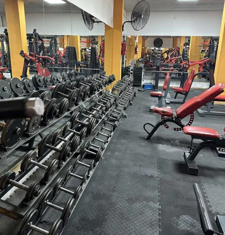 Fitness centre/facilities in Hotel NEU 354