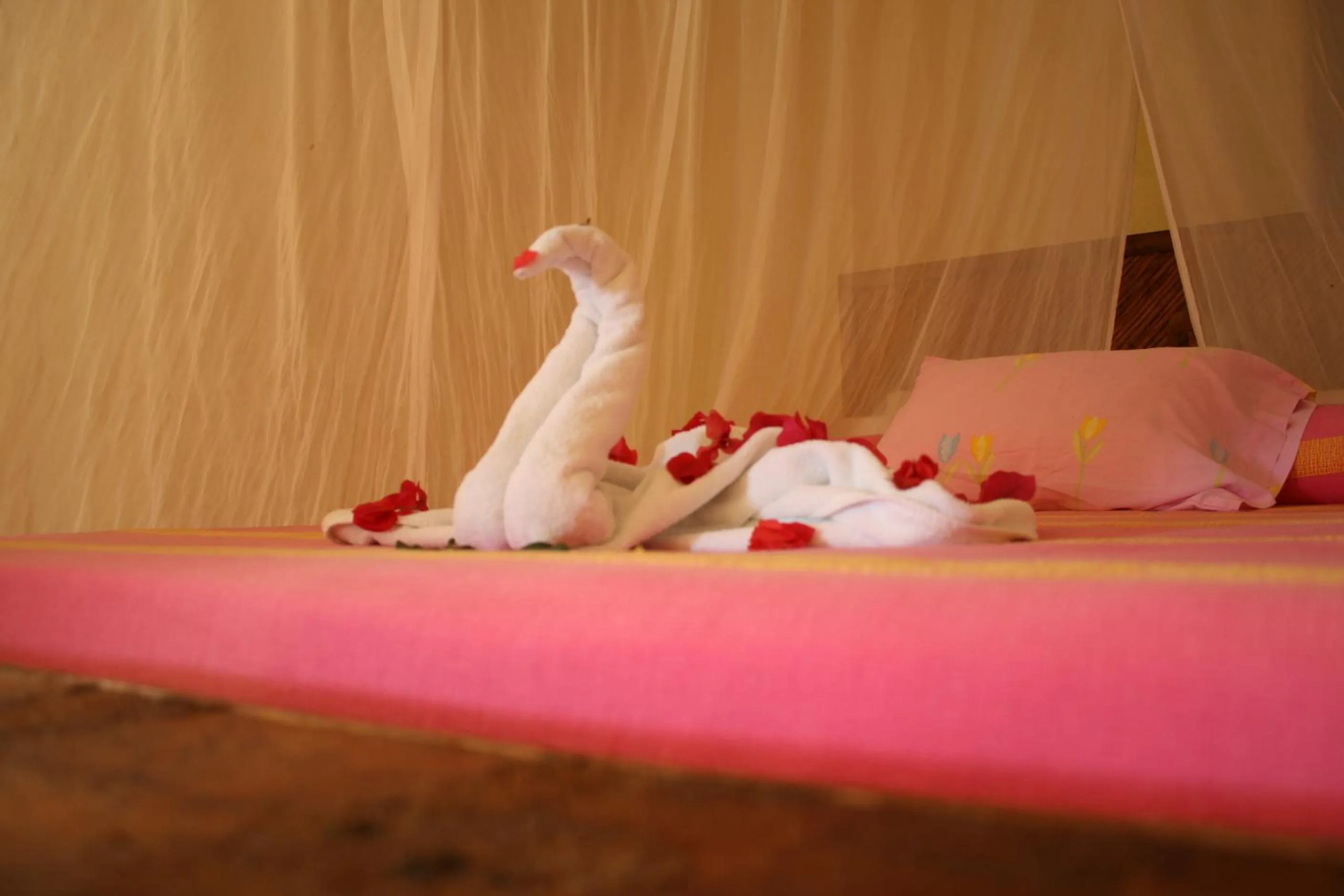 Decorative detail in Casa Kaukan