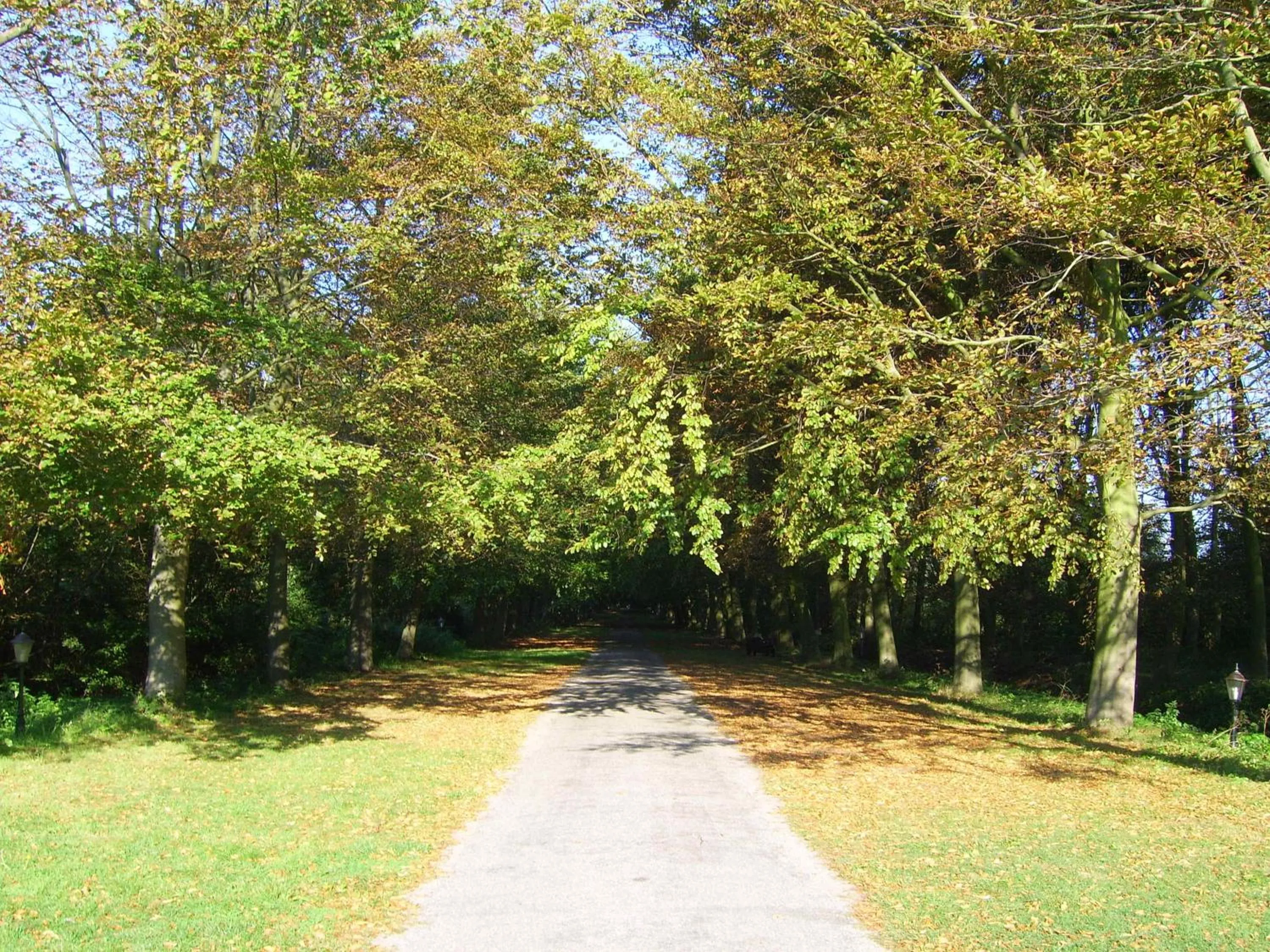 Area and facilities in Fletcher Landgoedhotel Renesse