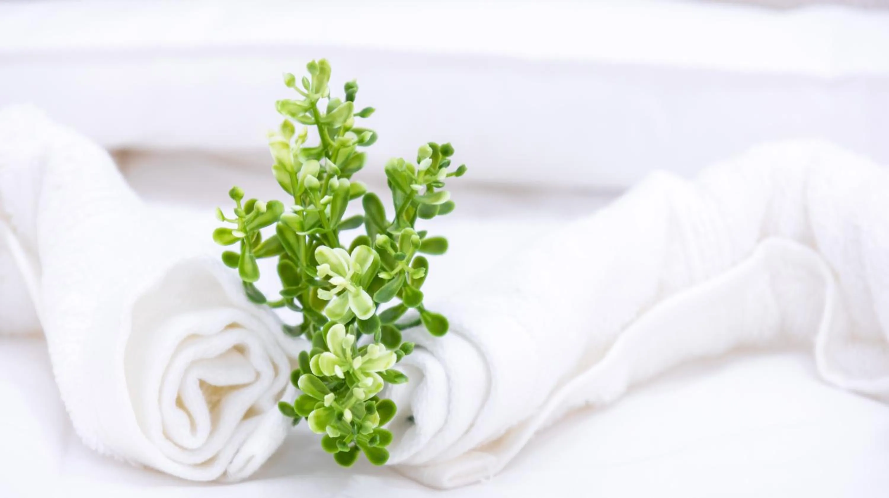 Habana Hotel Y Restaurante