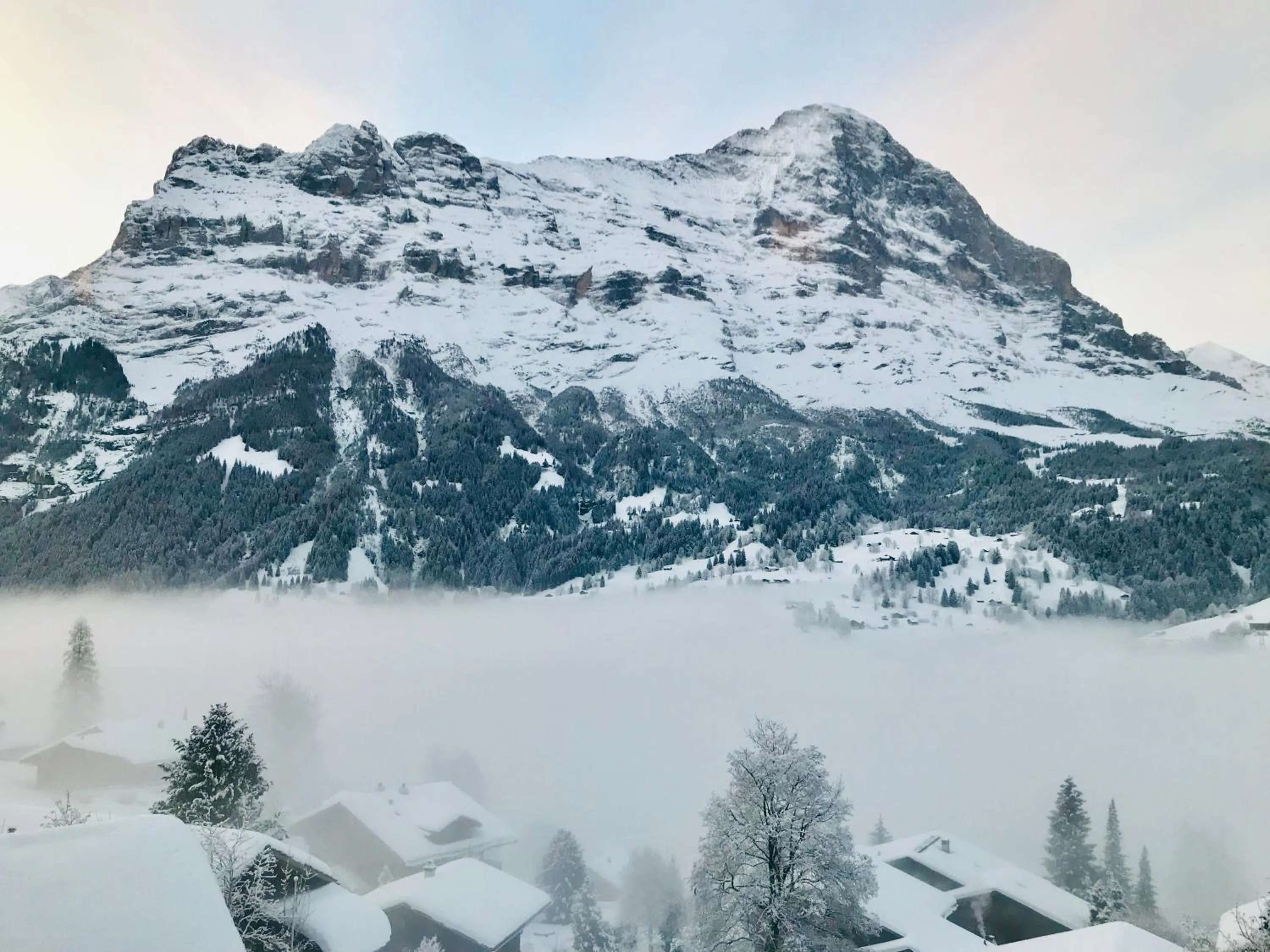 Landmark view in Hotel Eigerblick
