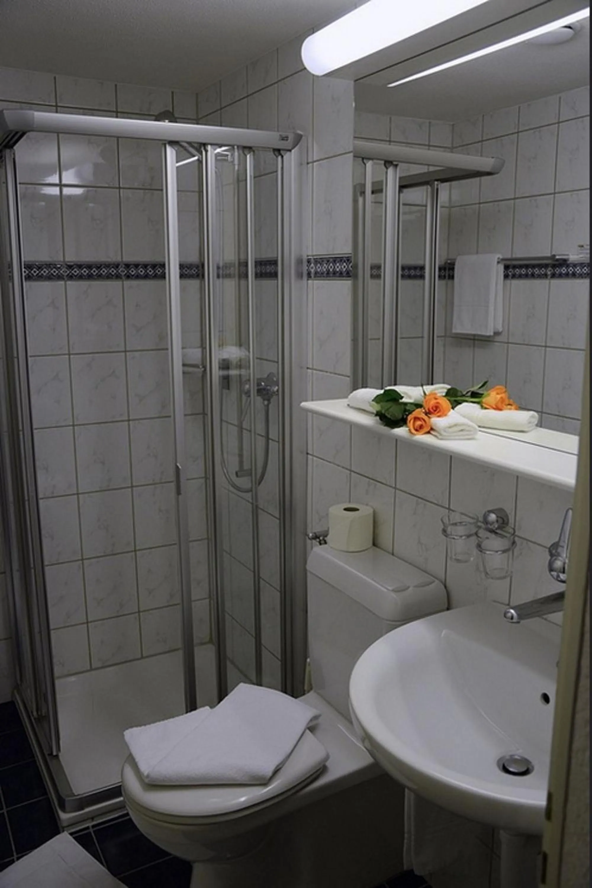 Toilet in Hotel Eigerblick