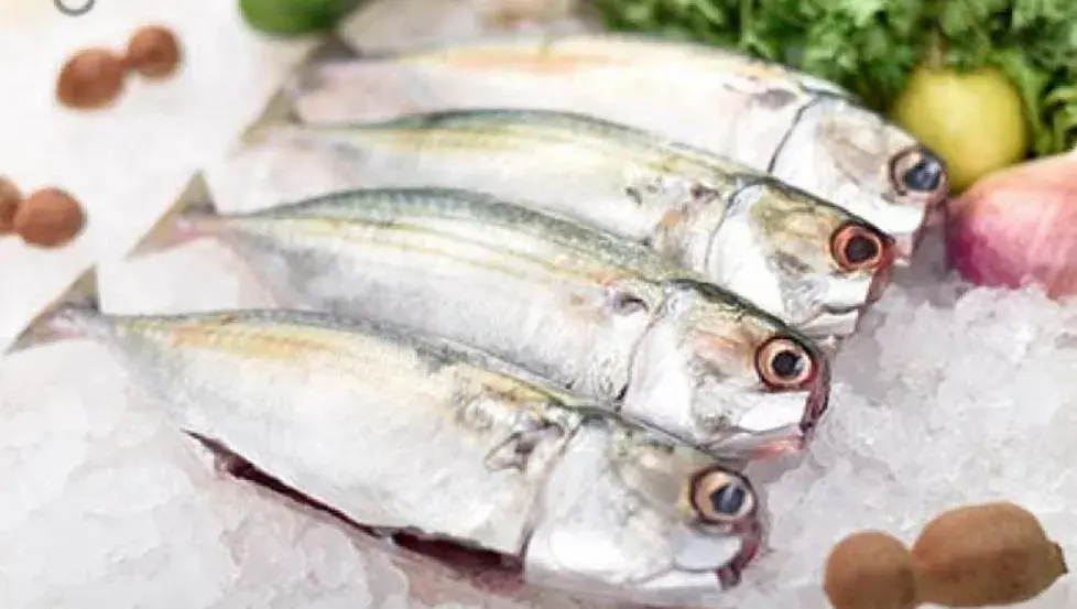 Dubai Hotel & Restaurant Kumarakom Dubai Hotel & Restaurant Kumarakom