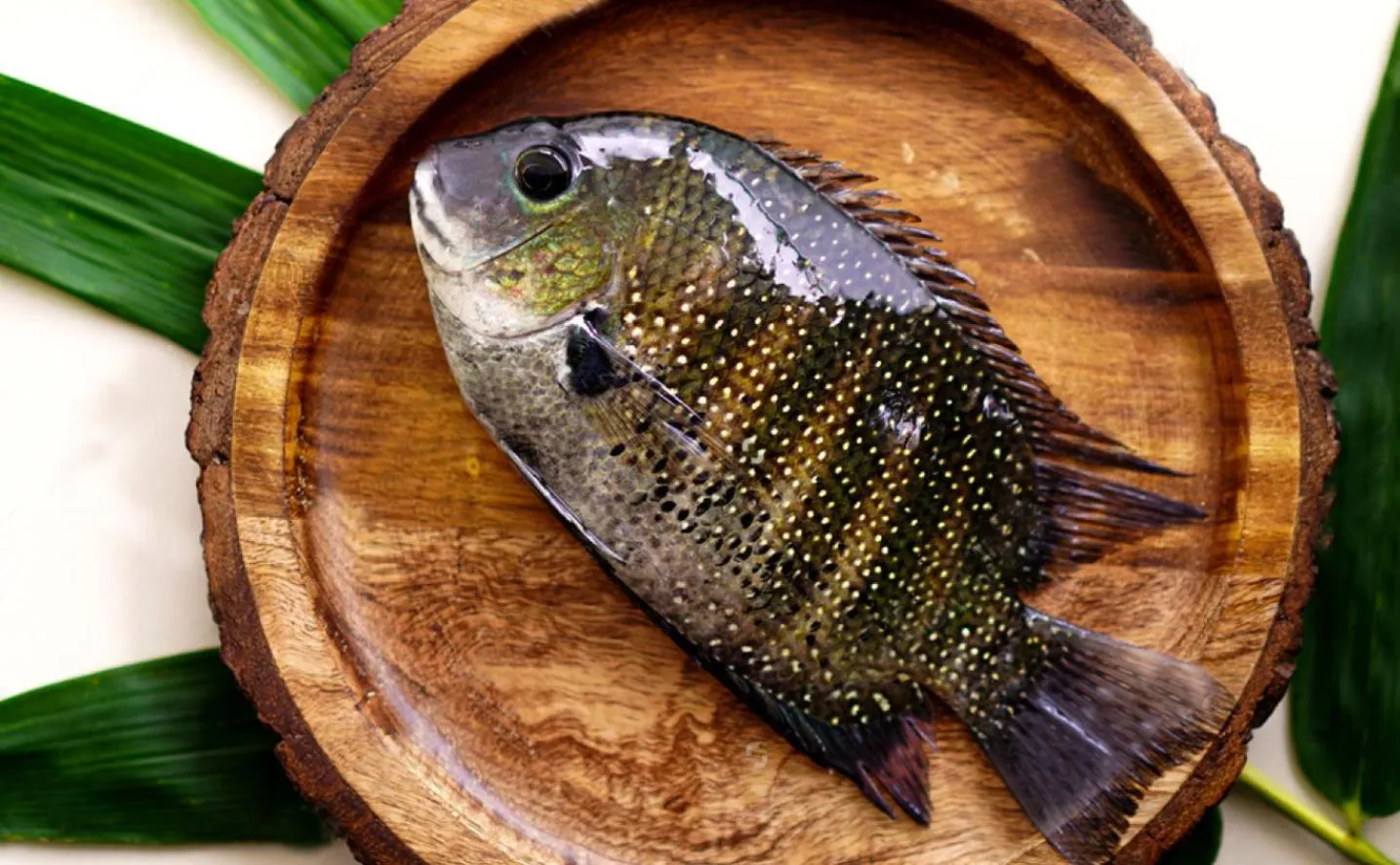 Dubai Hotel & Restaurant Kumarakom