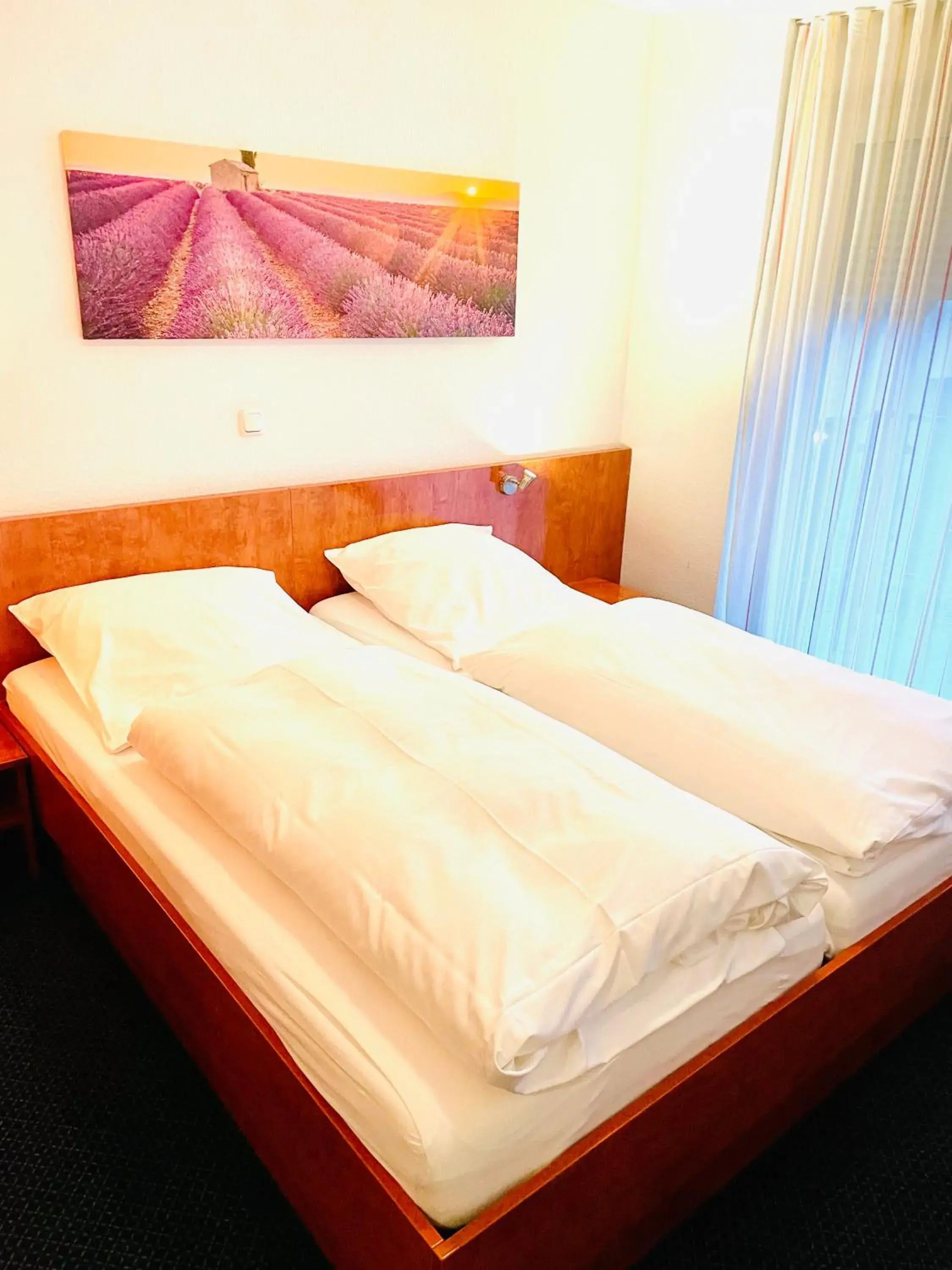 Deluxe Double or Twin Room - single occupancy in Hotel Merkenich Deluxe Double or Twin Room - single occupancy in Hotel Merkenich