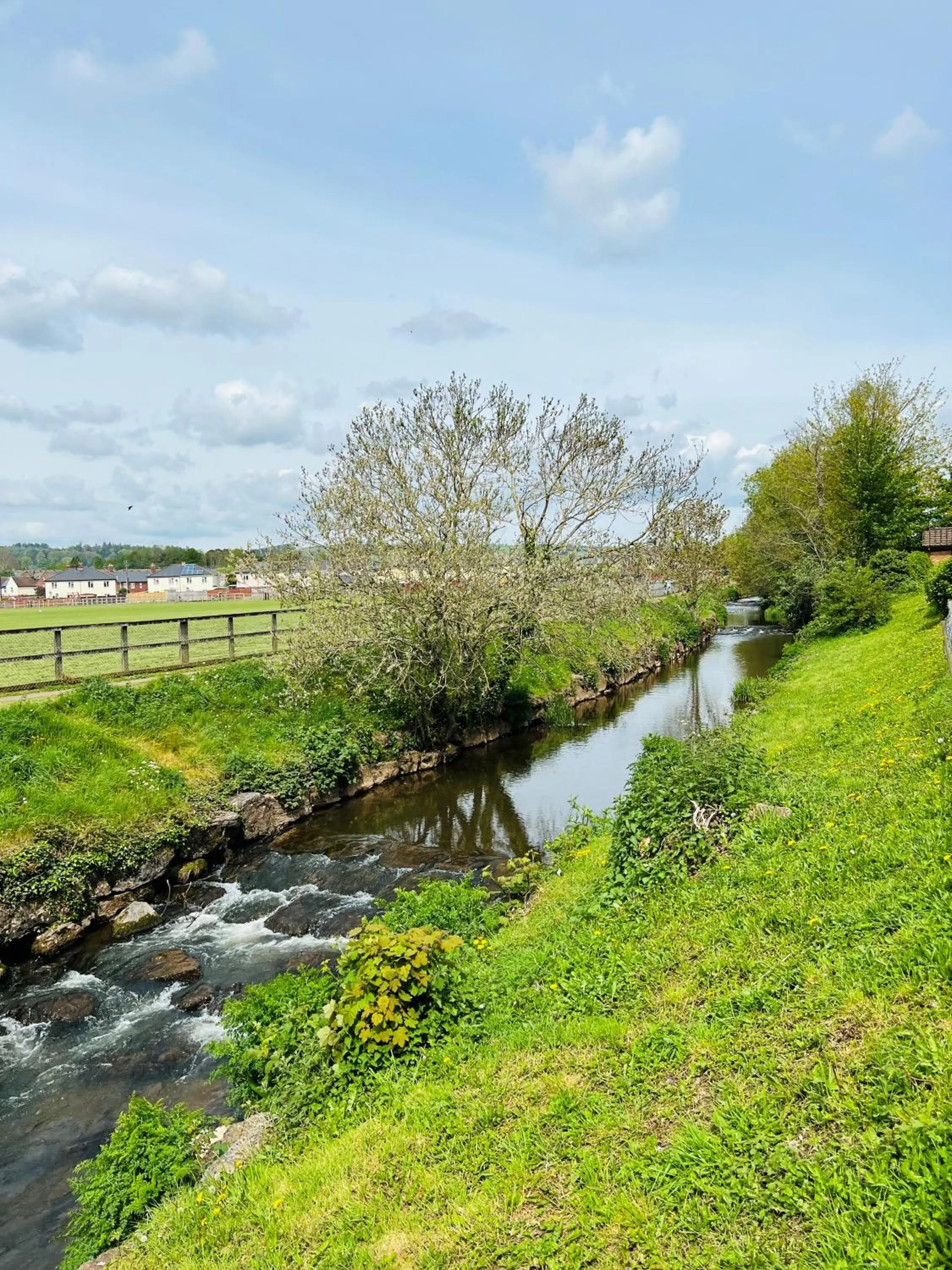 Garden in Tiverton Hotel Lounge & Venue