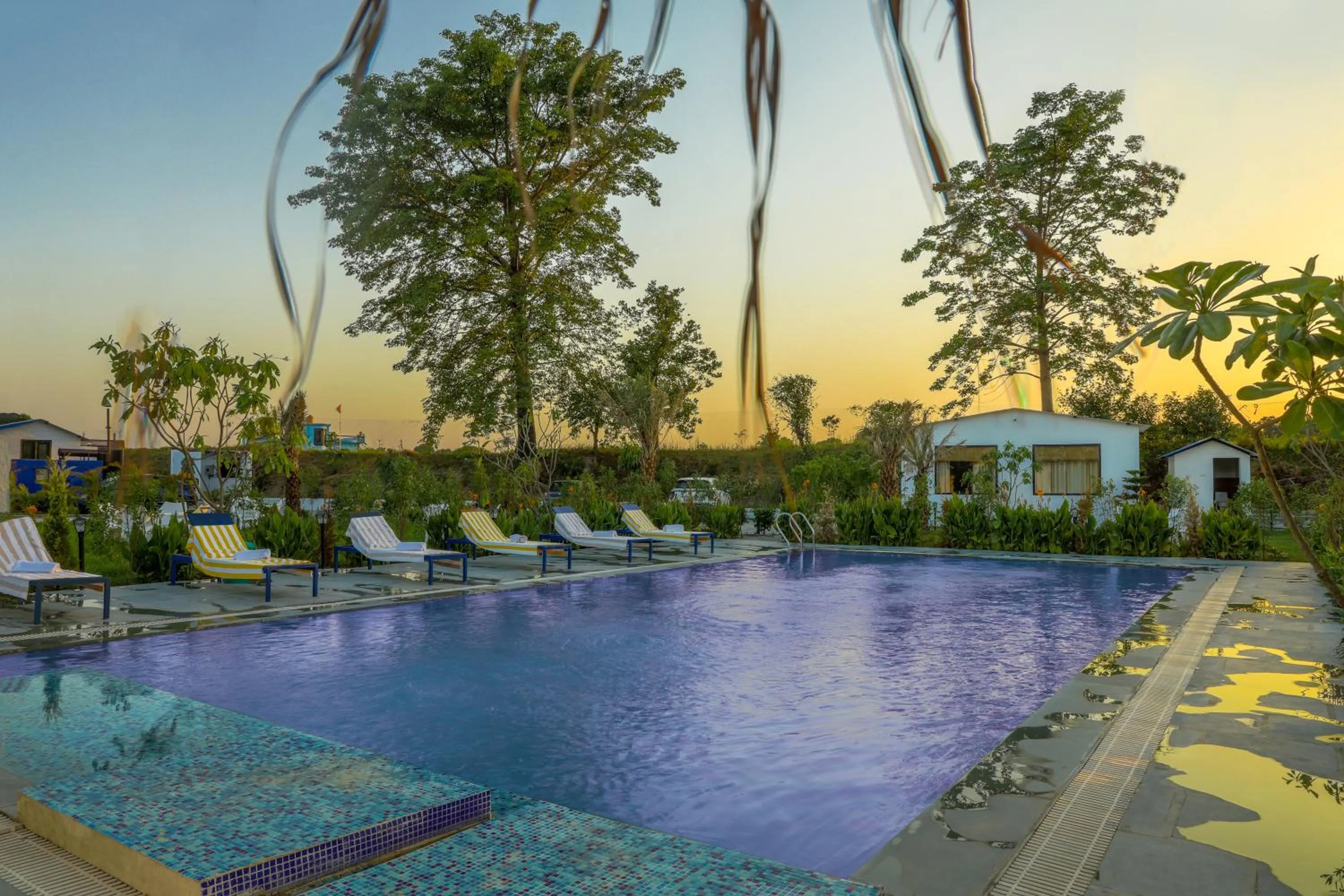 Swimming pool in Wild Planet Corbett Hotel and Resort