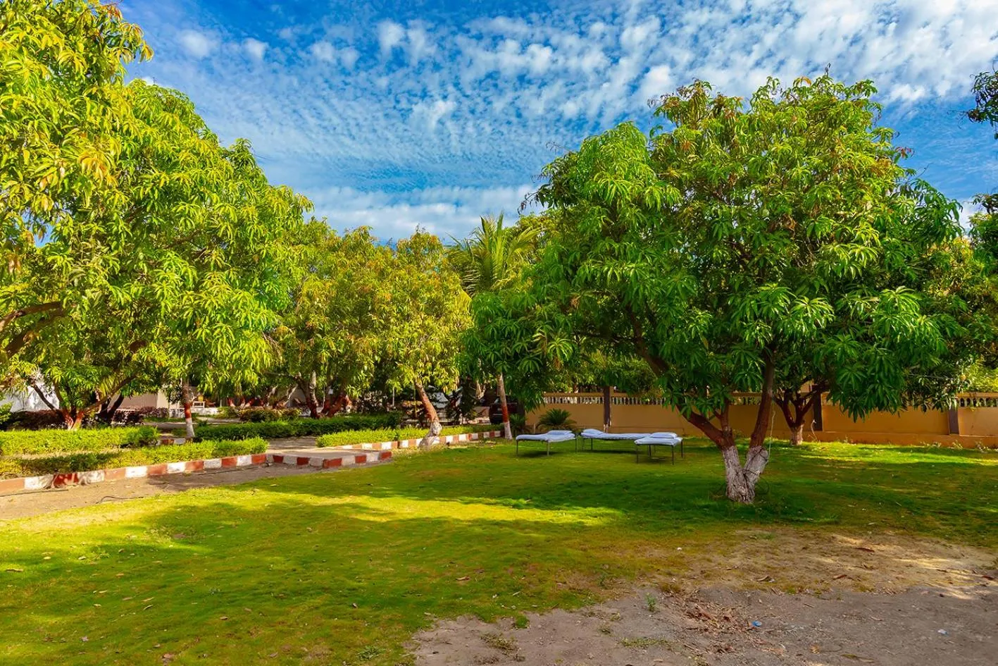 Spring in Amber Resort