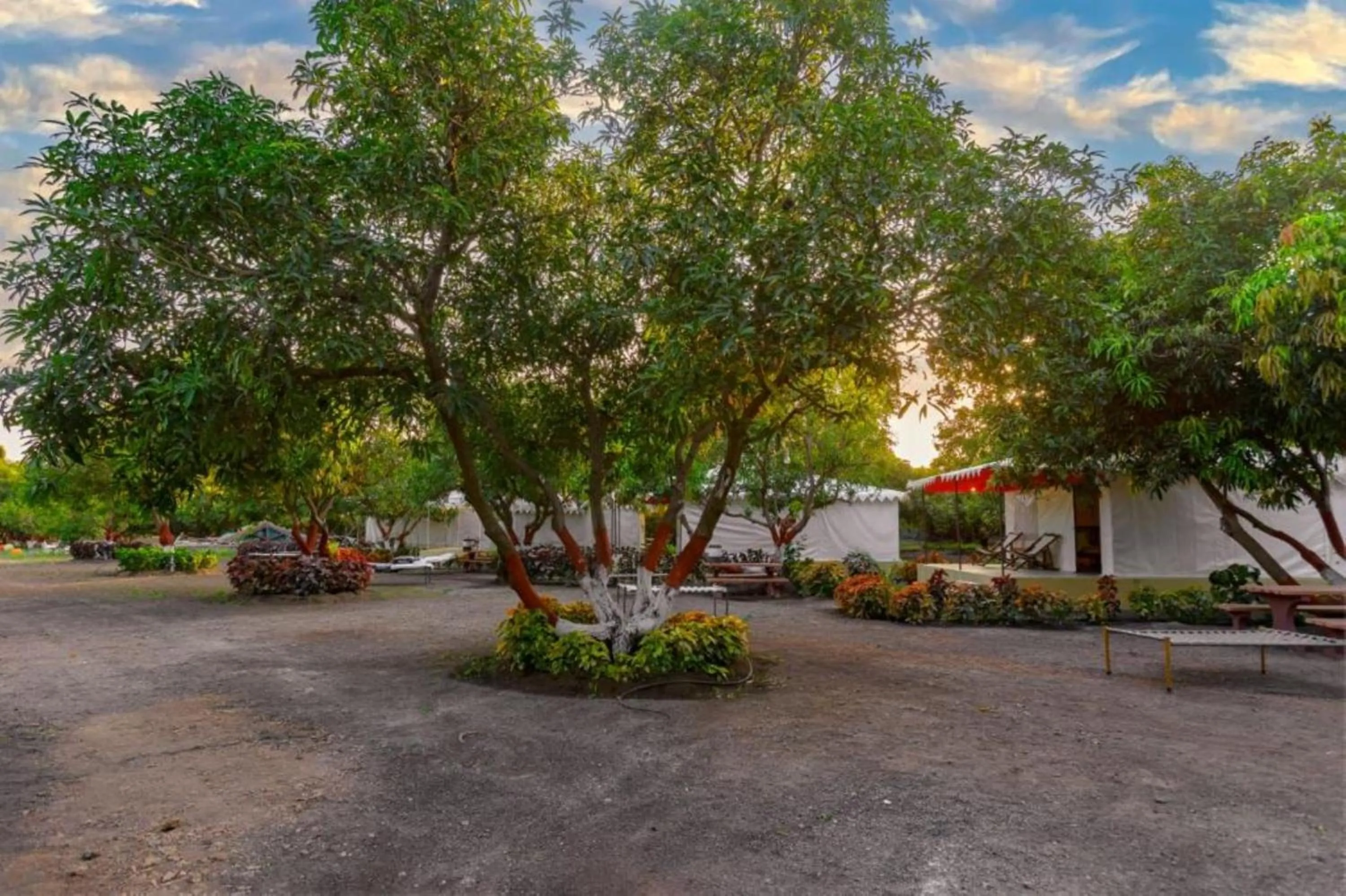 Garden in Amber Resort