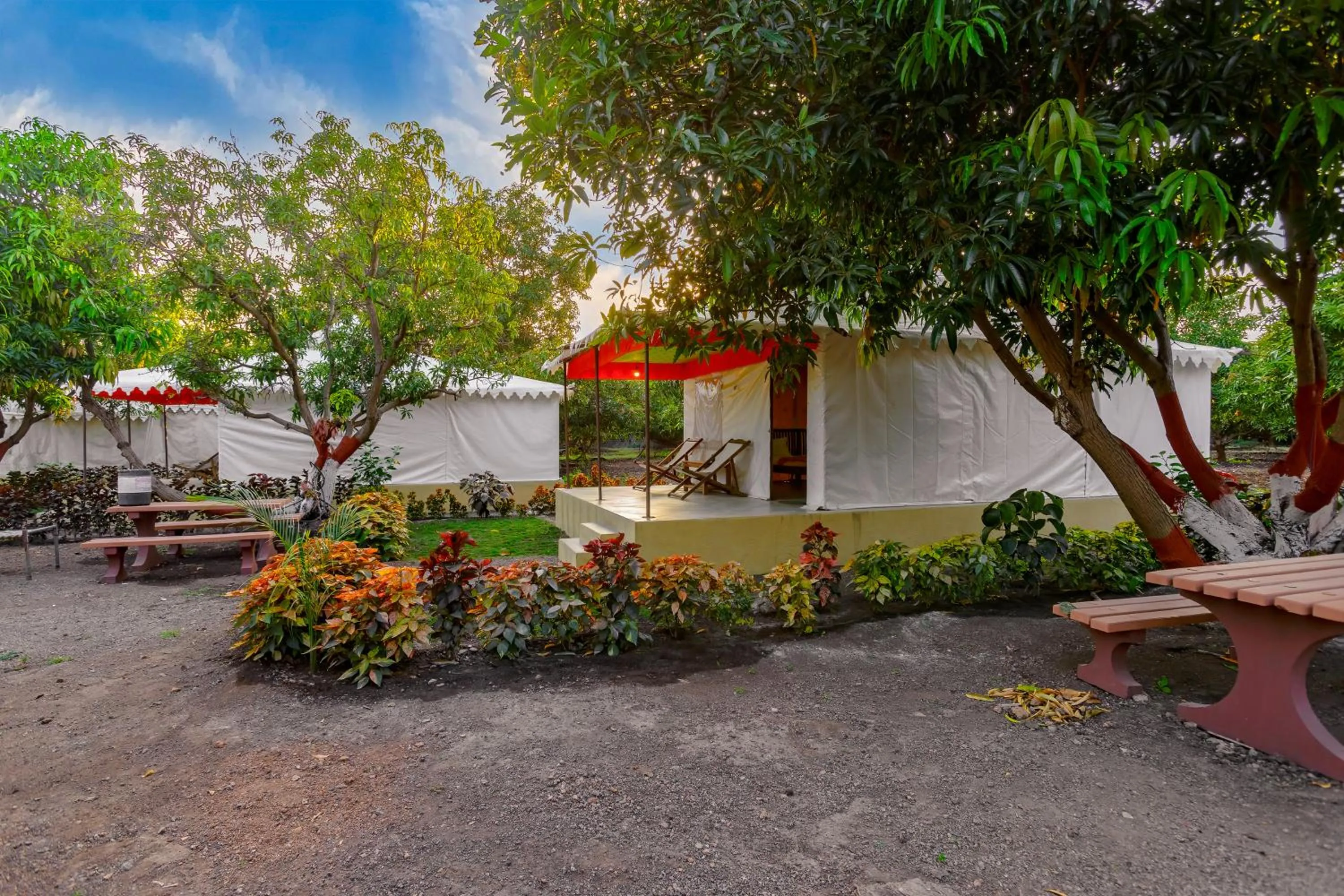 Garden view in Amber Resort