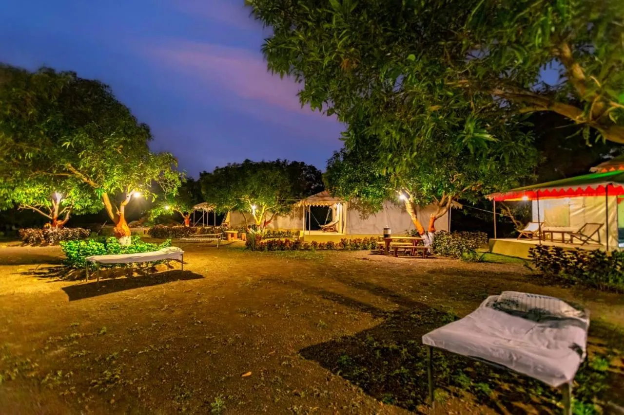 Night in Amber Resort