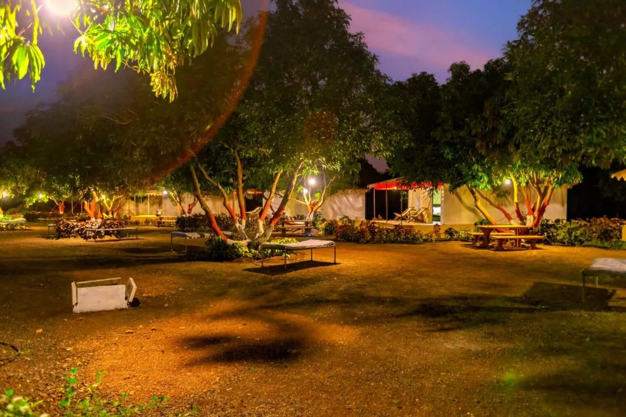 Natural landscape in Amber Resort