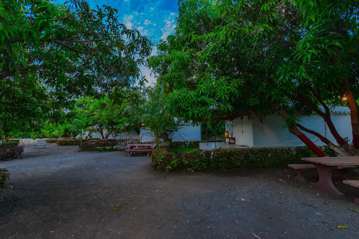 Garden in Amber Resort