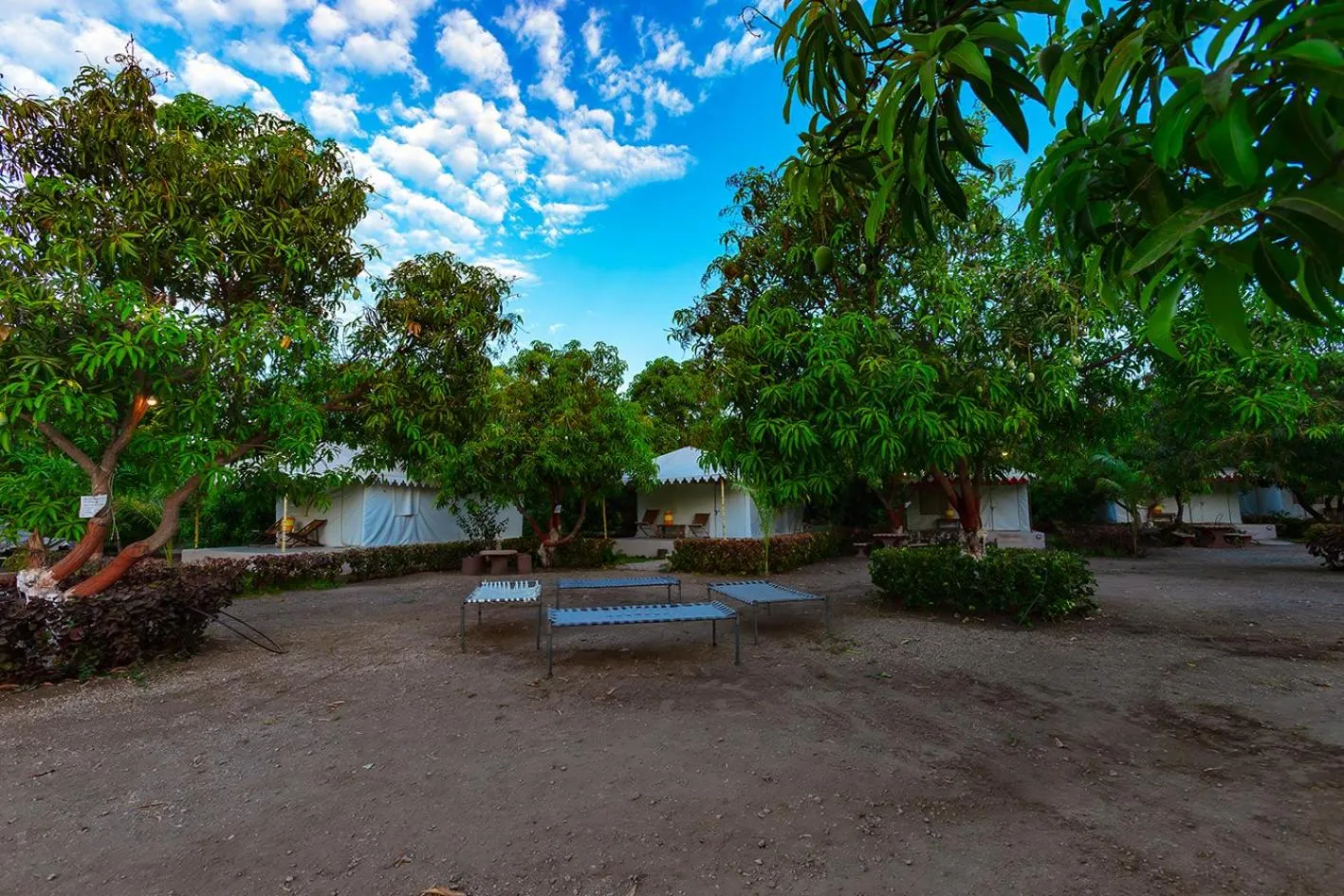 Natural landscape in Amber Resort