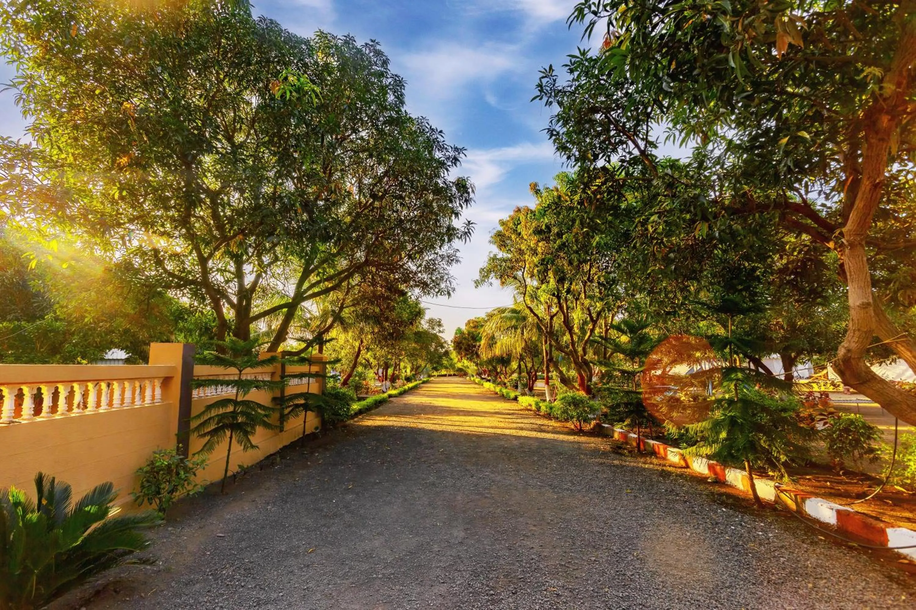 Natural landscape in Amber Resort