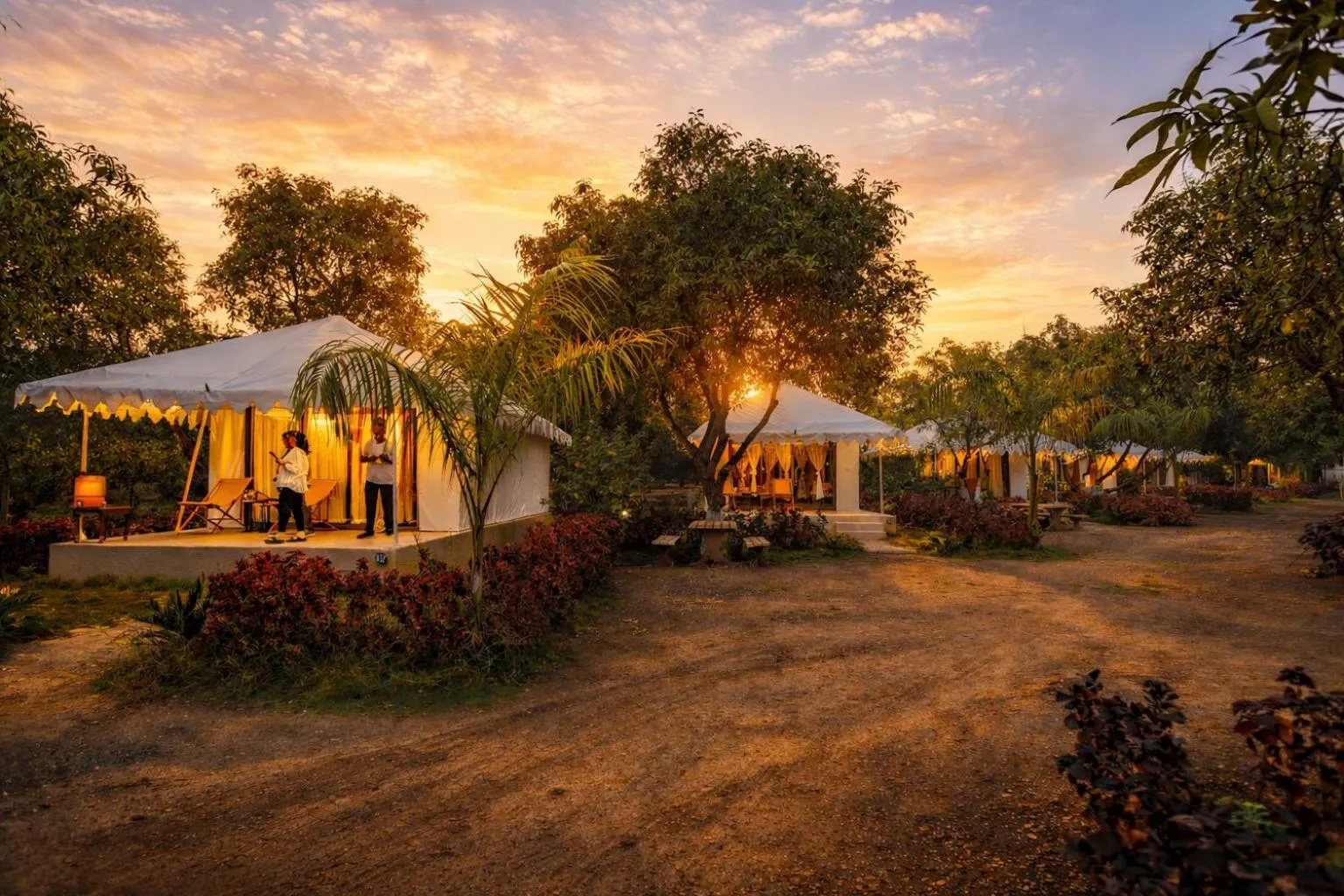 Garden in Amber Resort