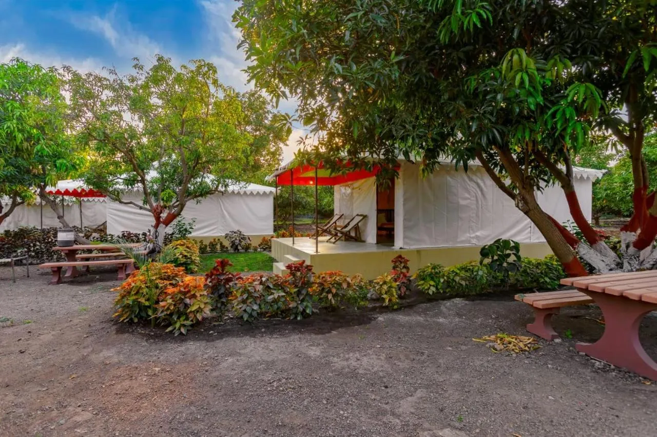 Spring in Amber Resort