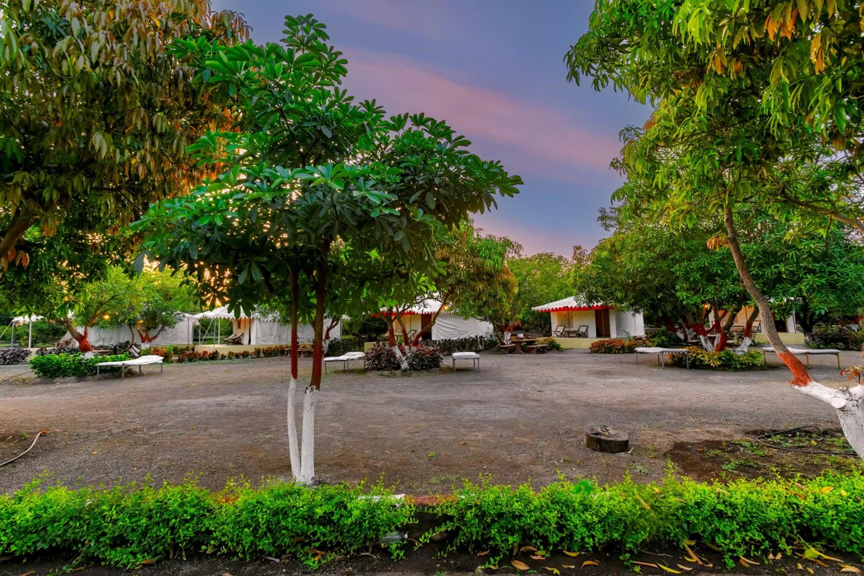 Natural landscape in Amber Resort