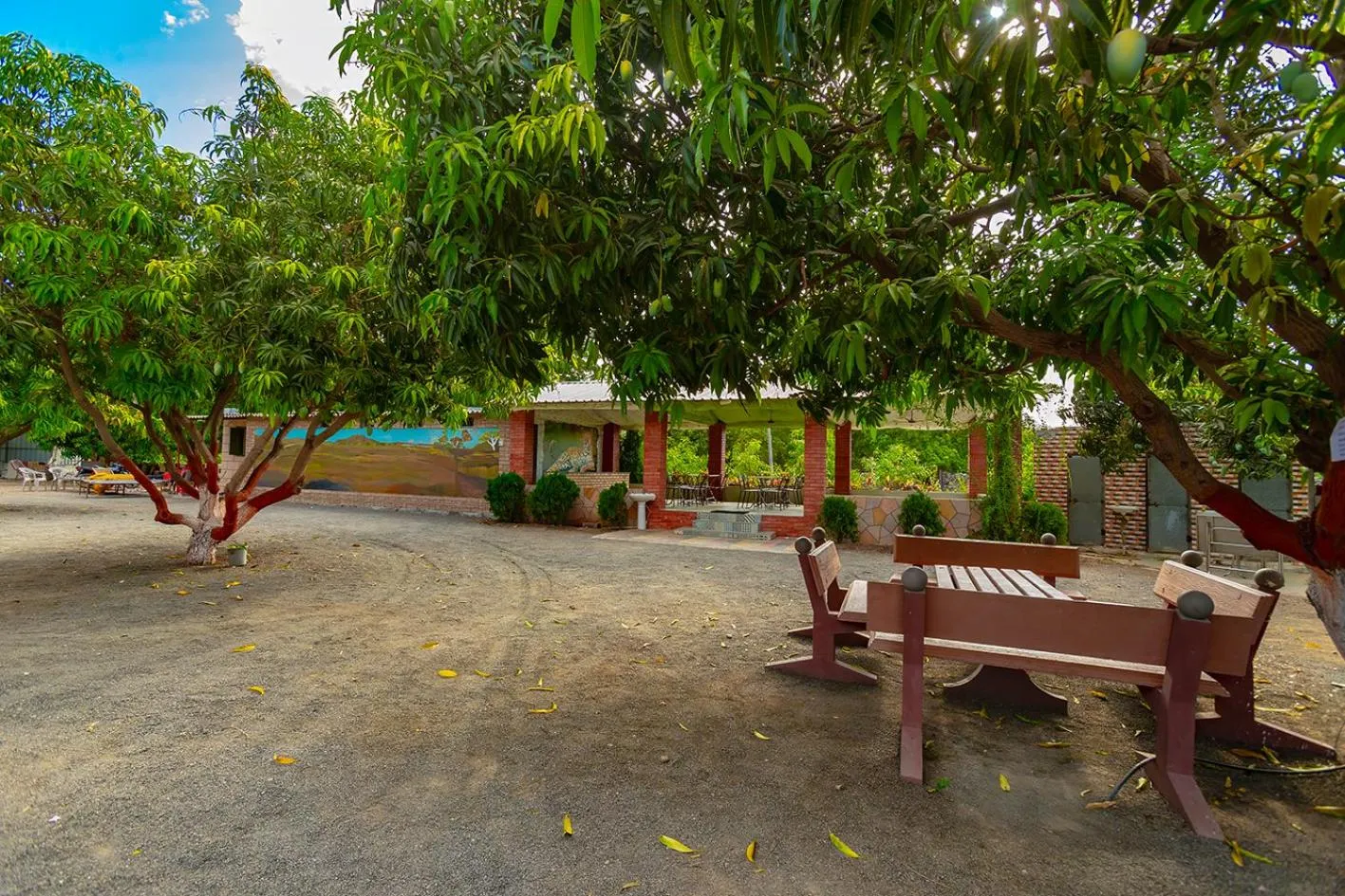 Garden in Amber Resort