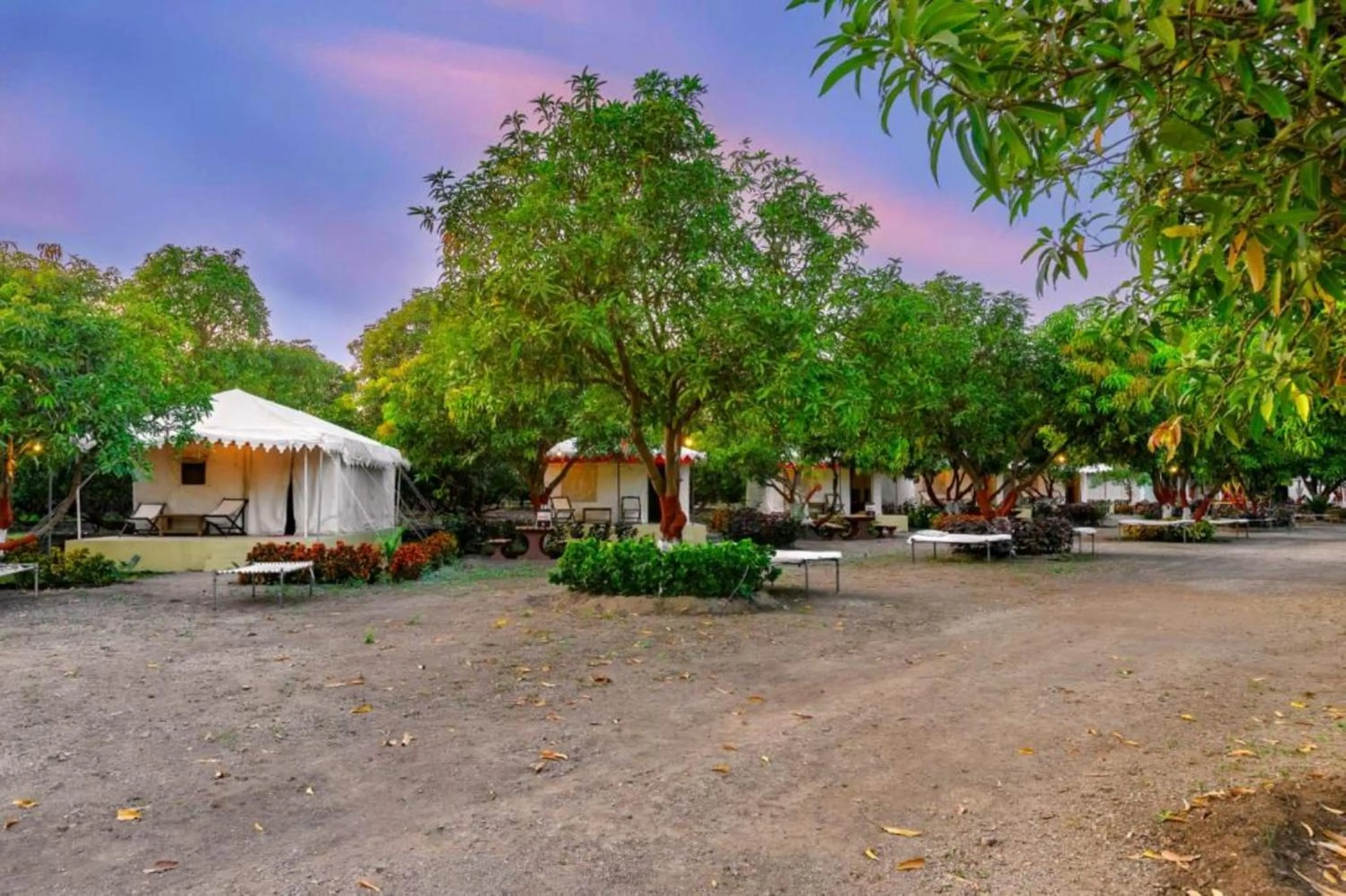 Spring in Amber Resort