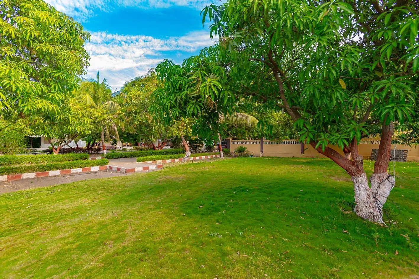 Spring in Amber Resort