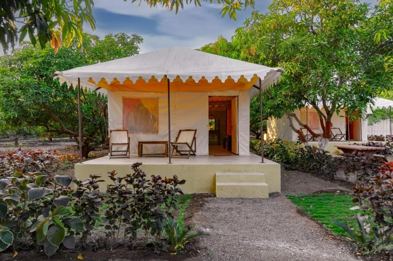 Patio in Amber Resort